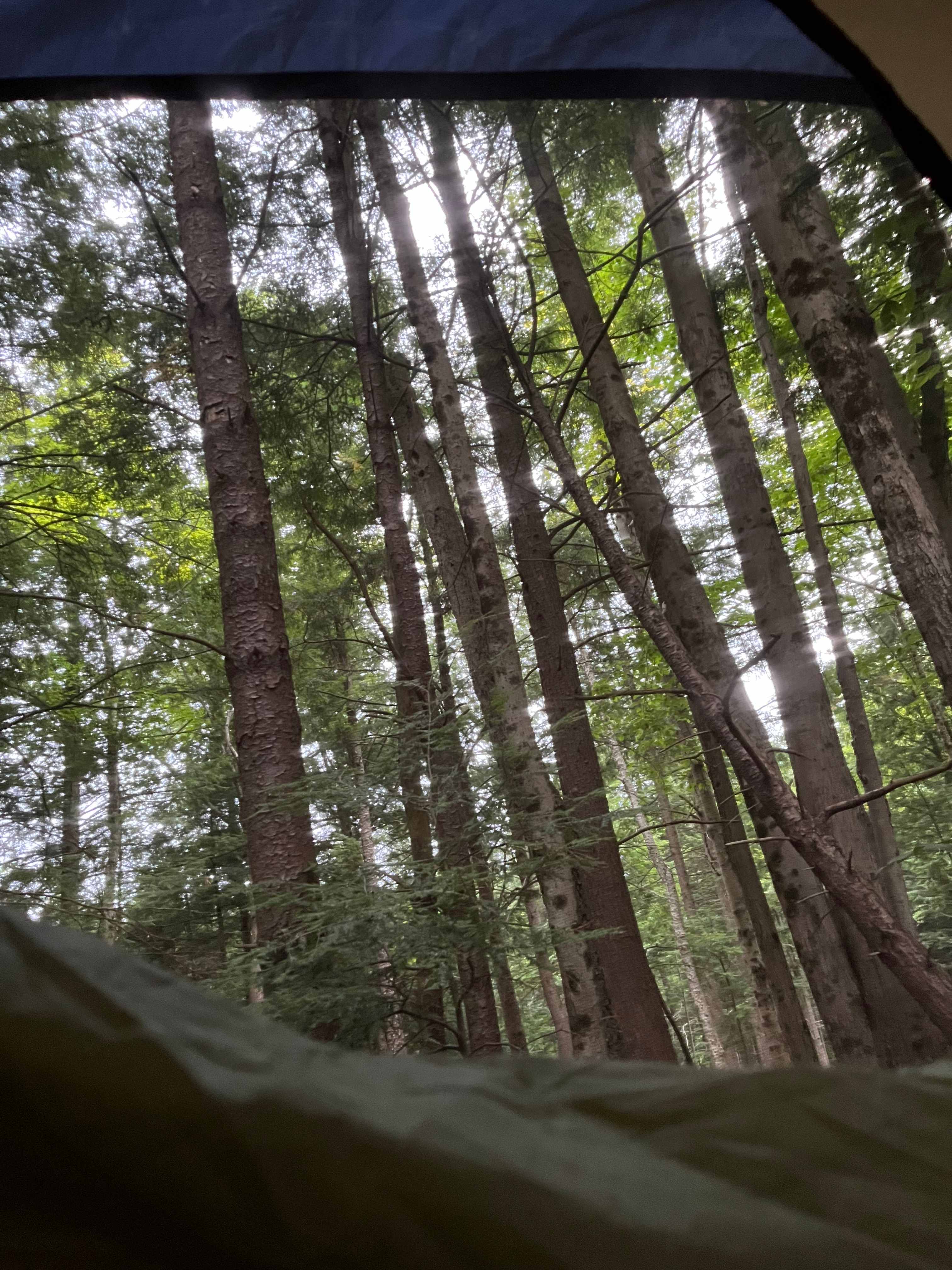 Morning View as I Woke Up