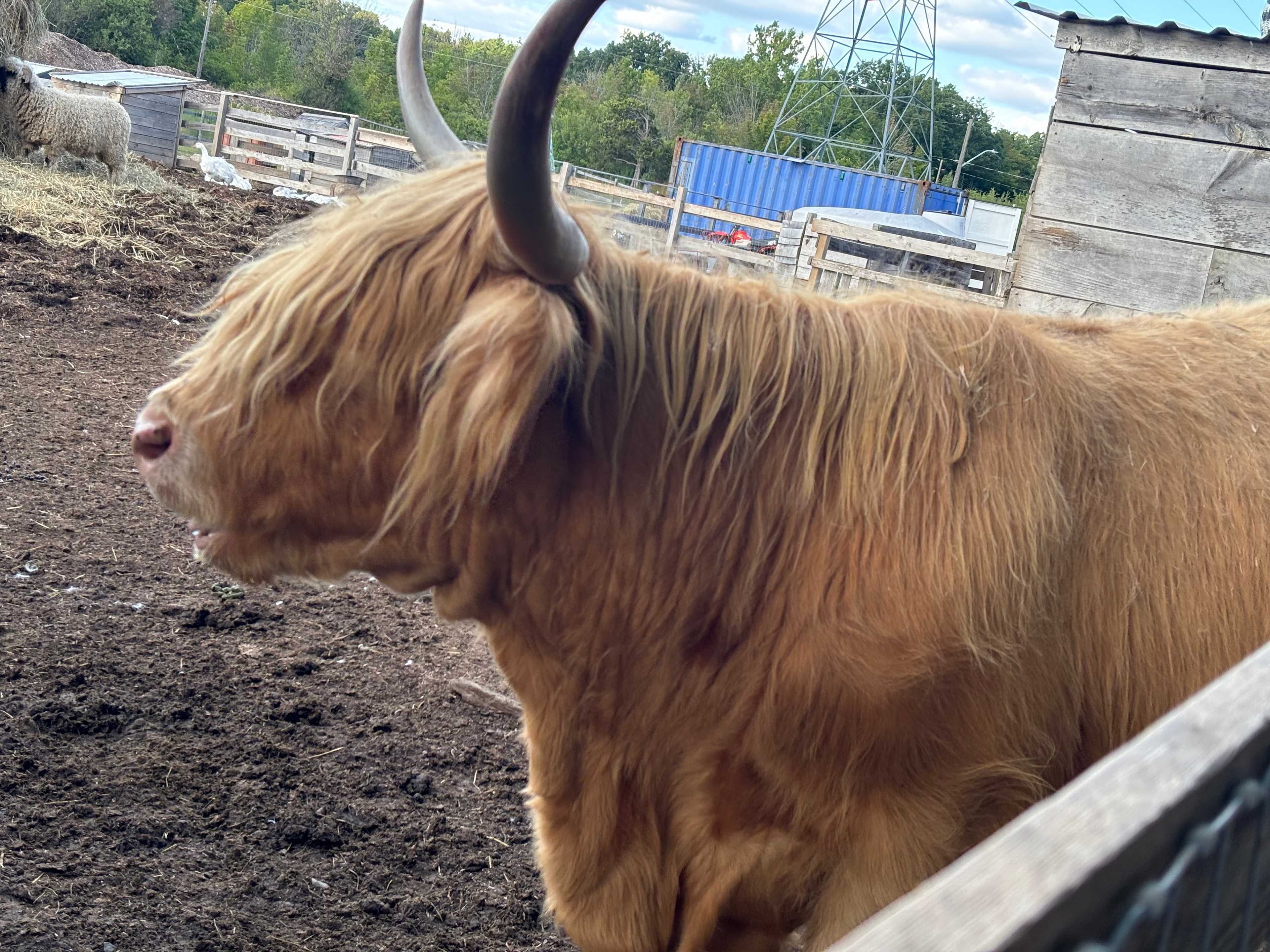 Grindstone Creek Farm in Burlington
