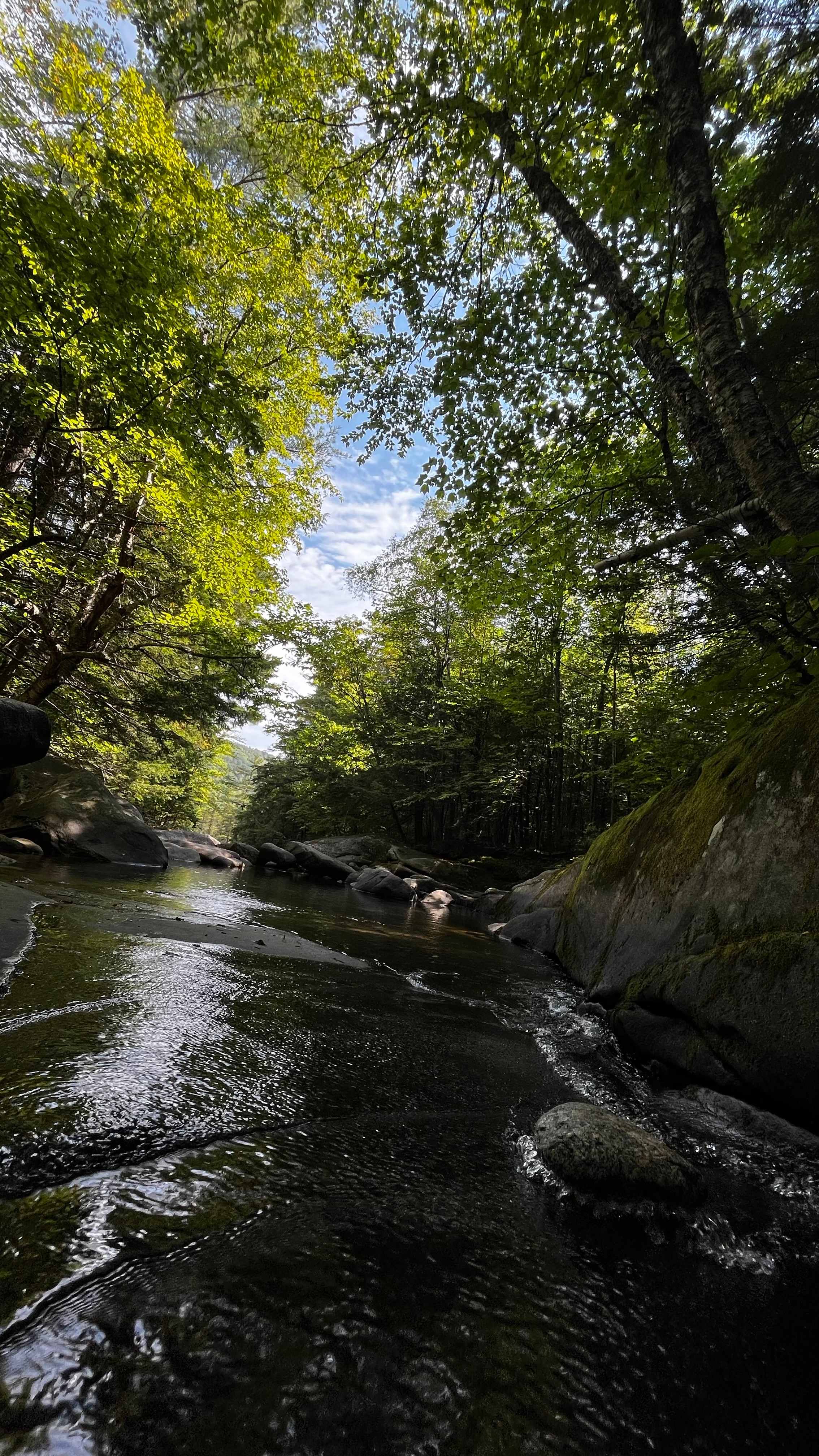 Beautiful Views + 62 Acres For You