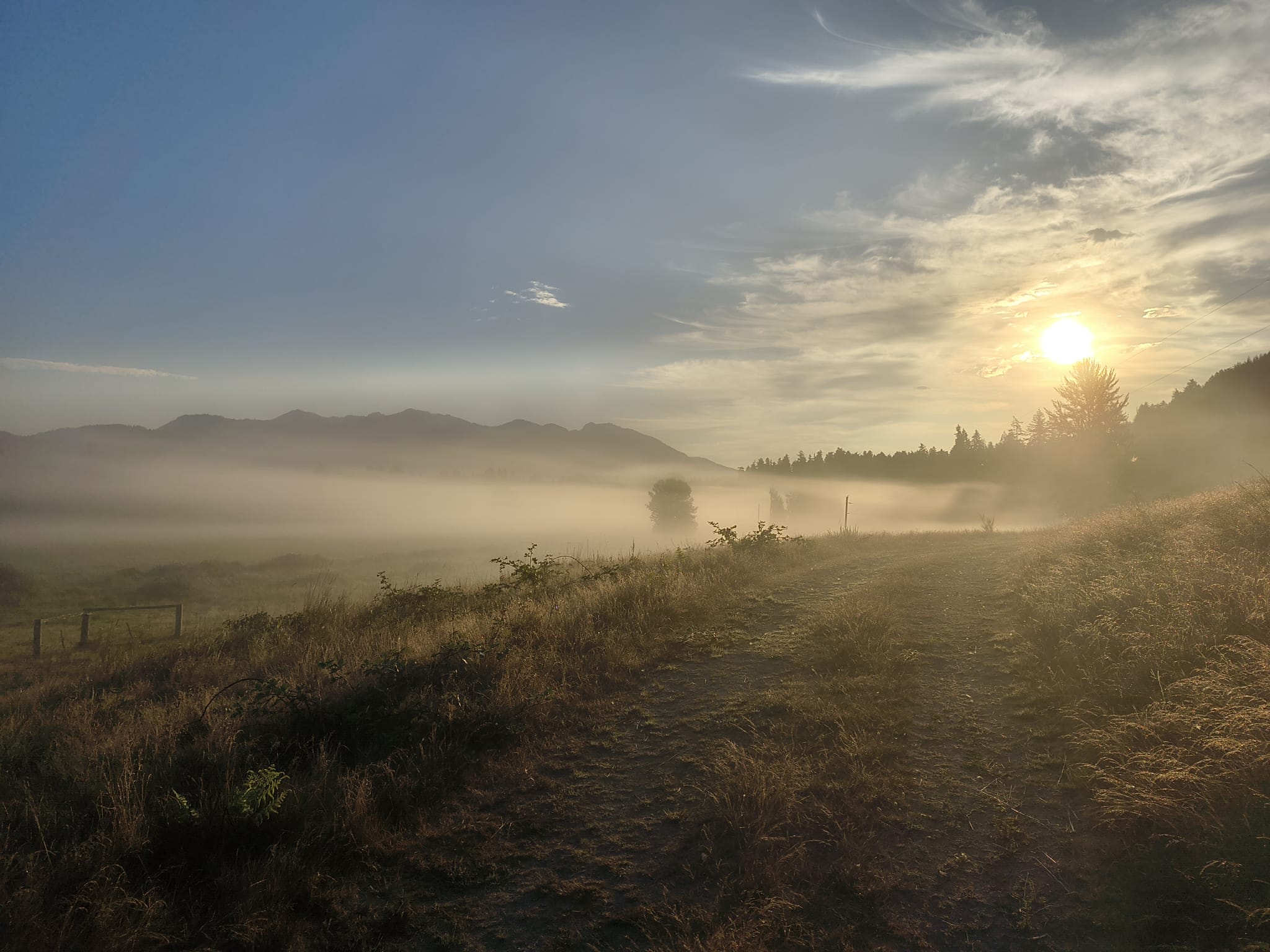 On the property around the sites