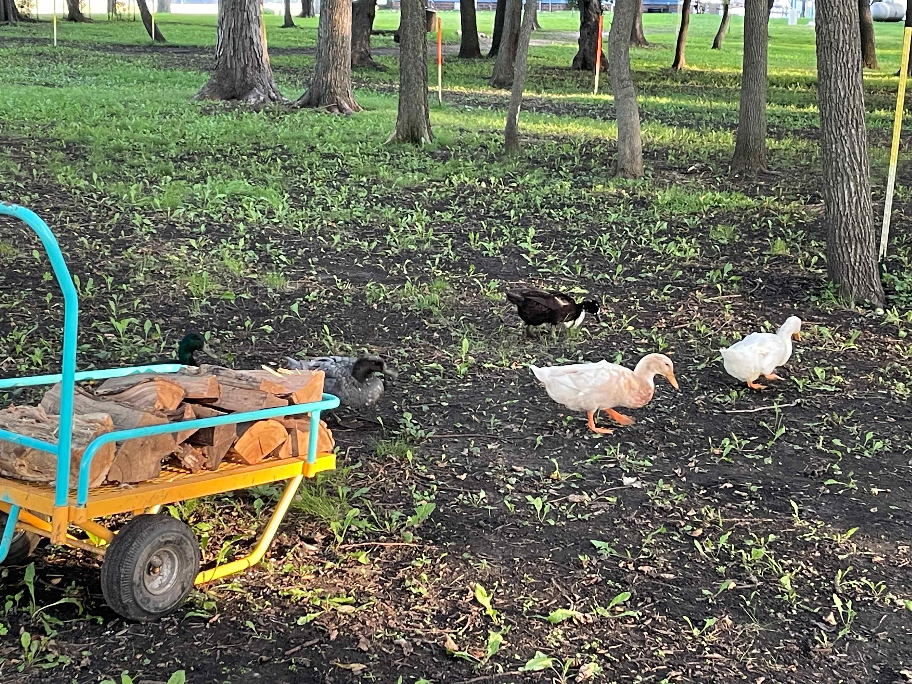 Mn River Valley Sanctuary