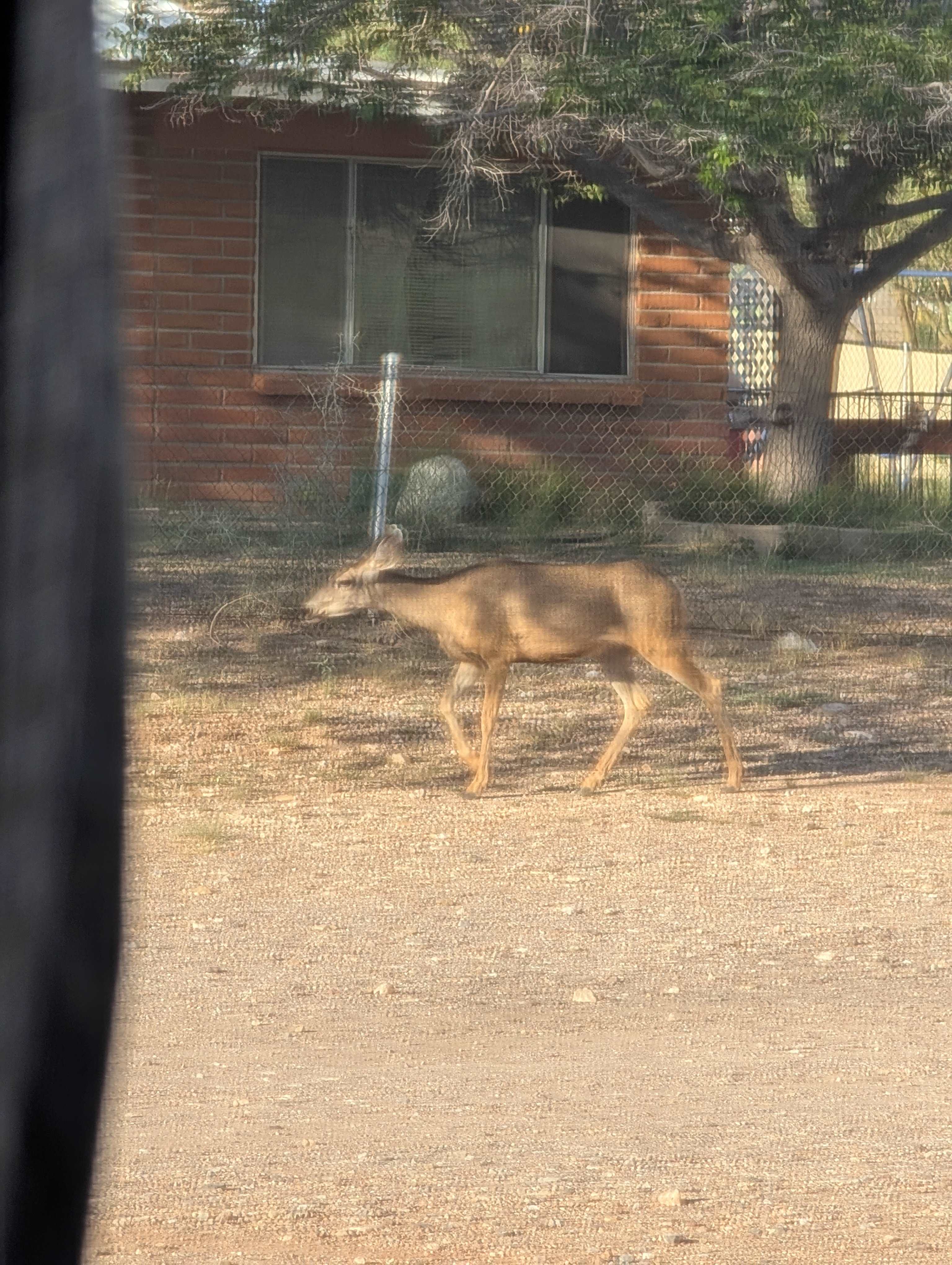 Third and Survey Properties