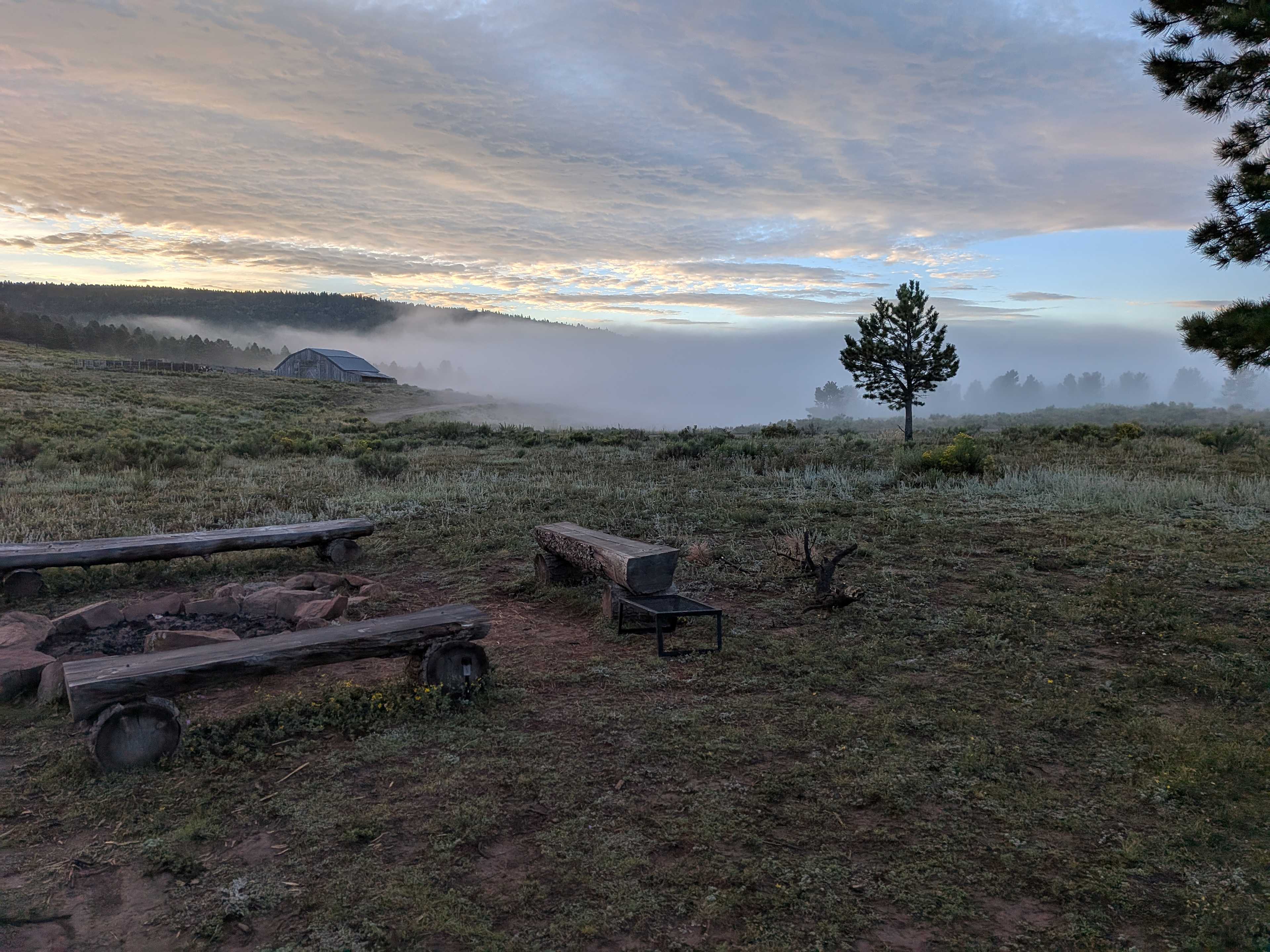 Picture of the site