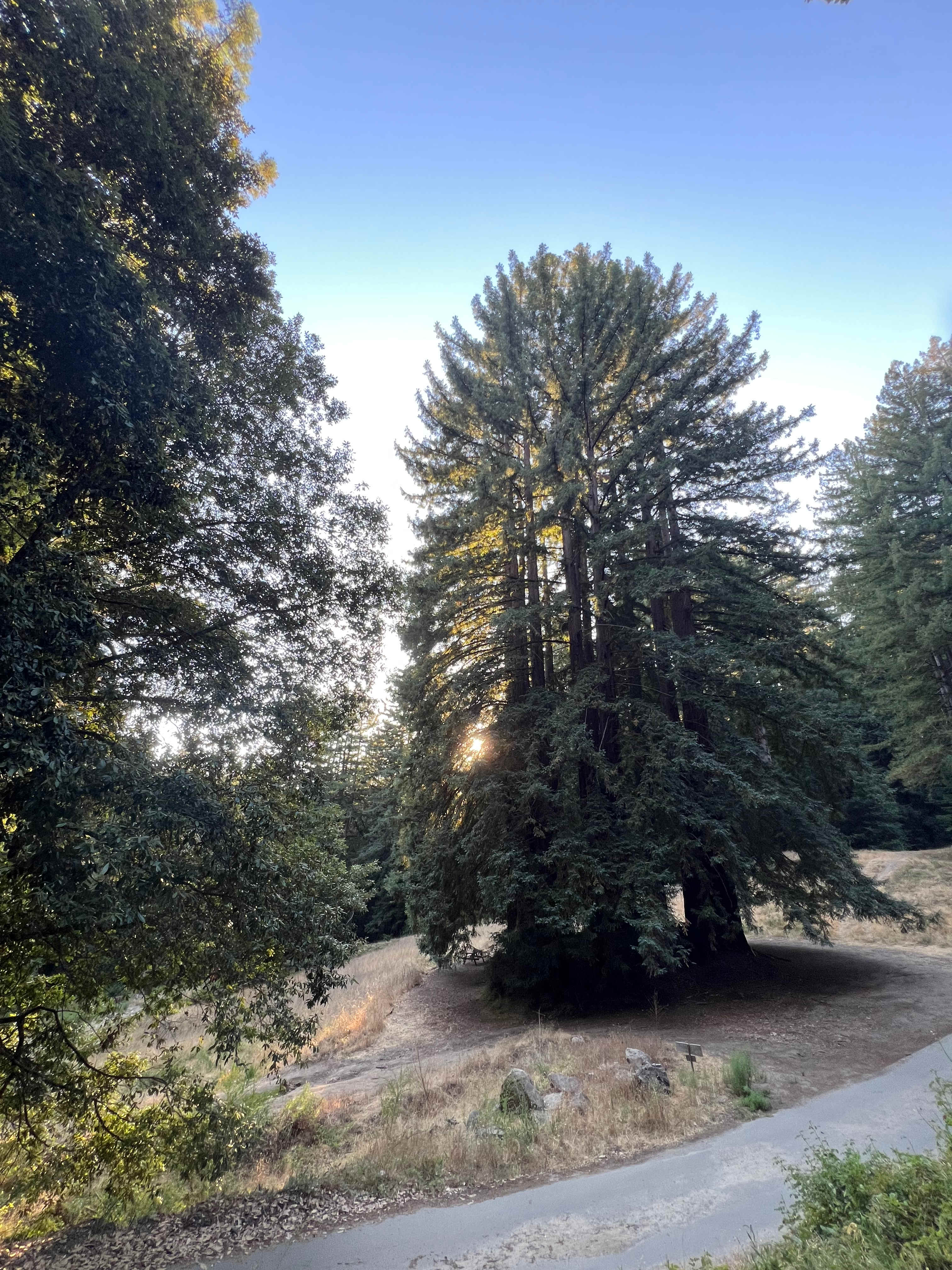 The view from the campsite