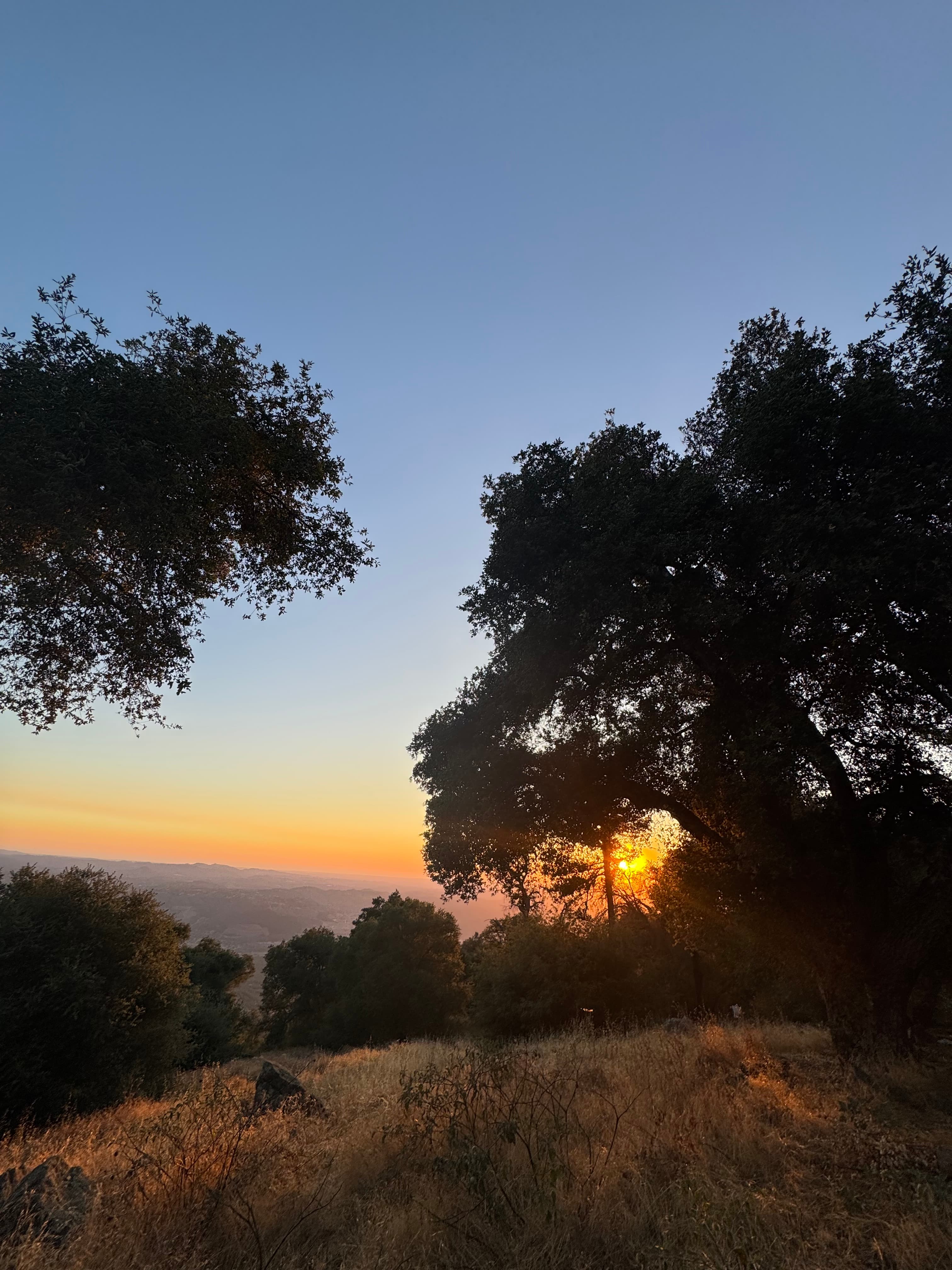 Magical Harrison Serenity Ranch