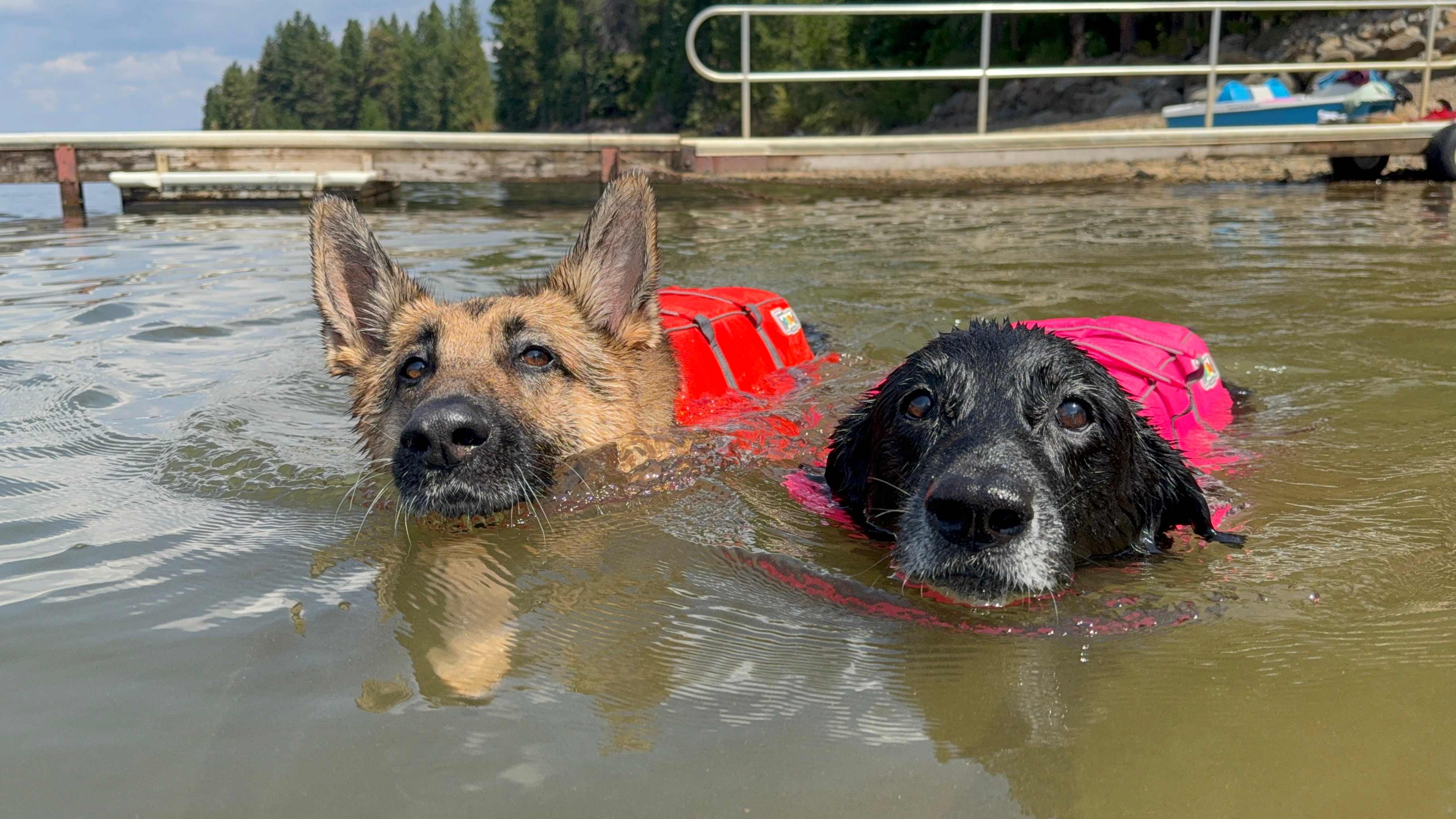 TURNER BEACH AT LAKE ALMANOR