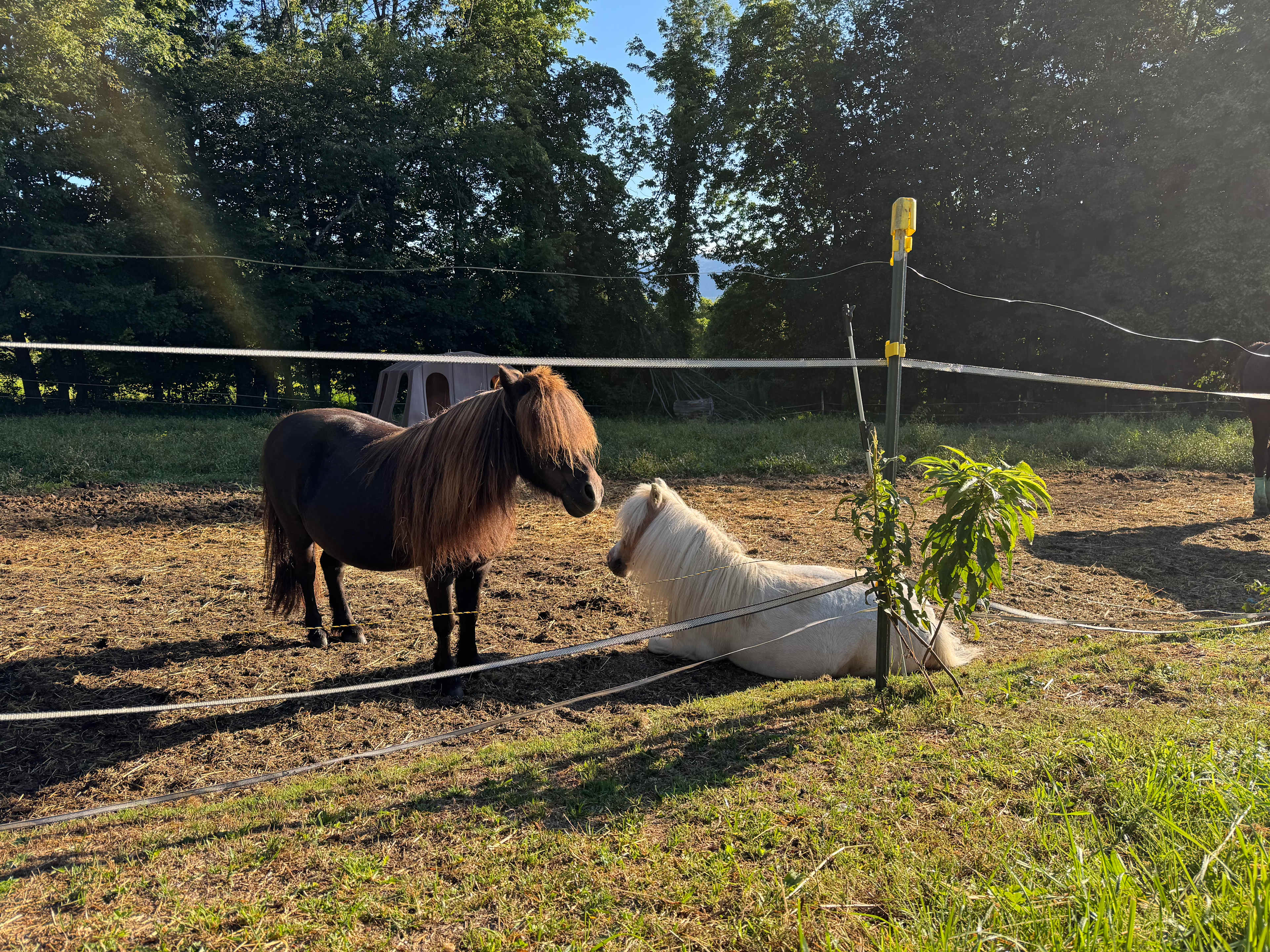 Private campsites miles of trails!