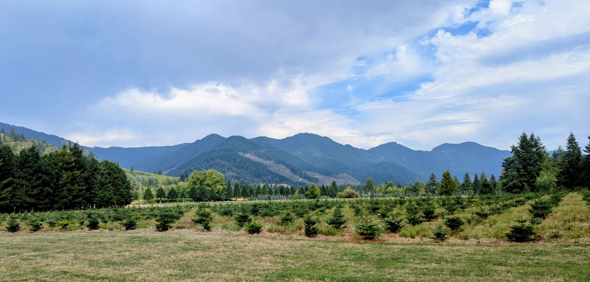 The Arboretum at Bear Canyon West