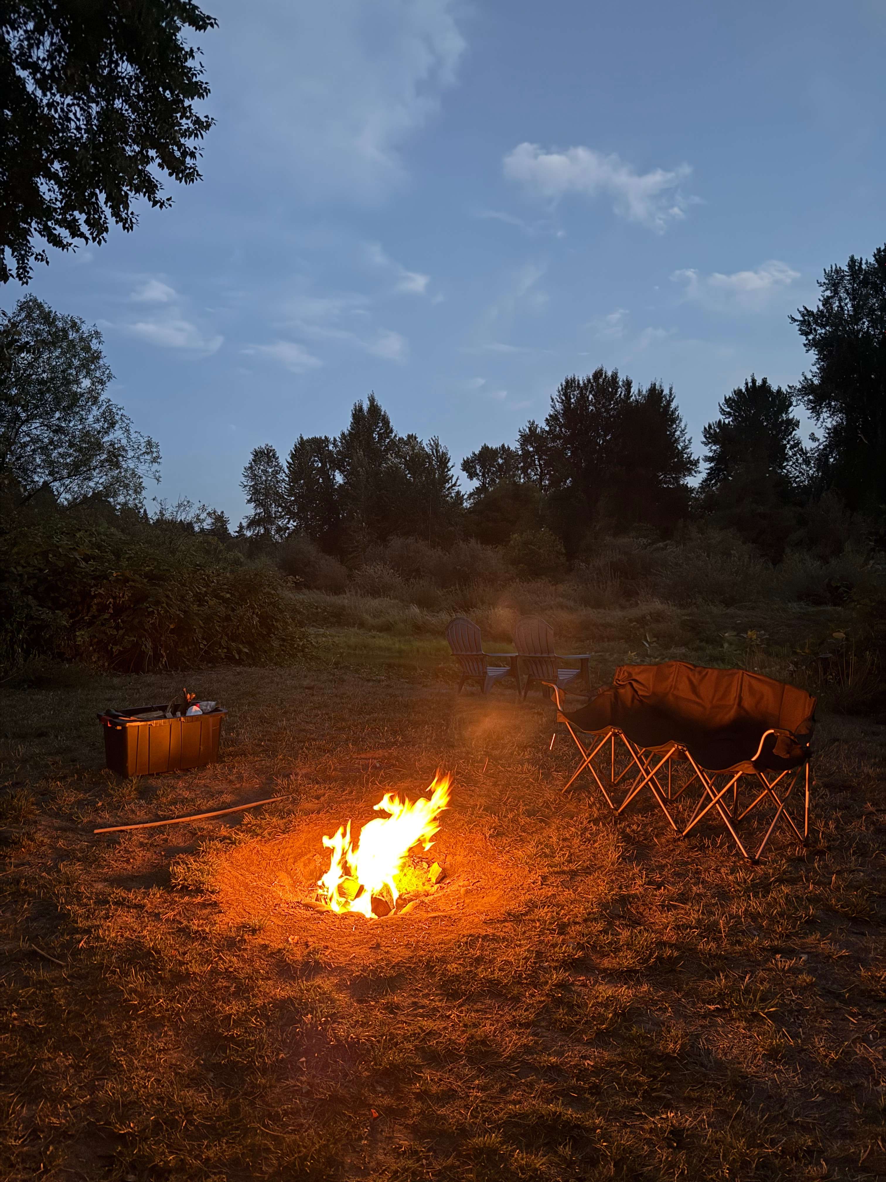 The stars were amazing