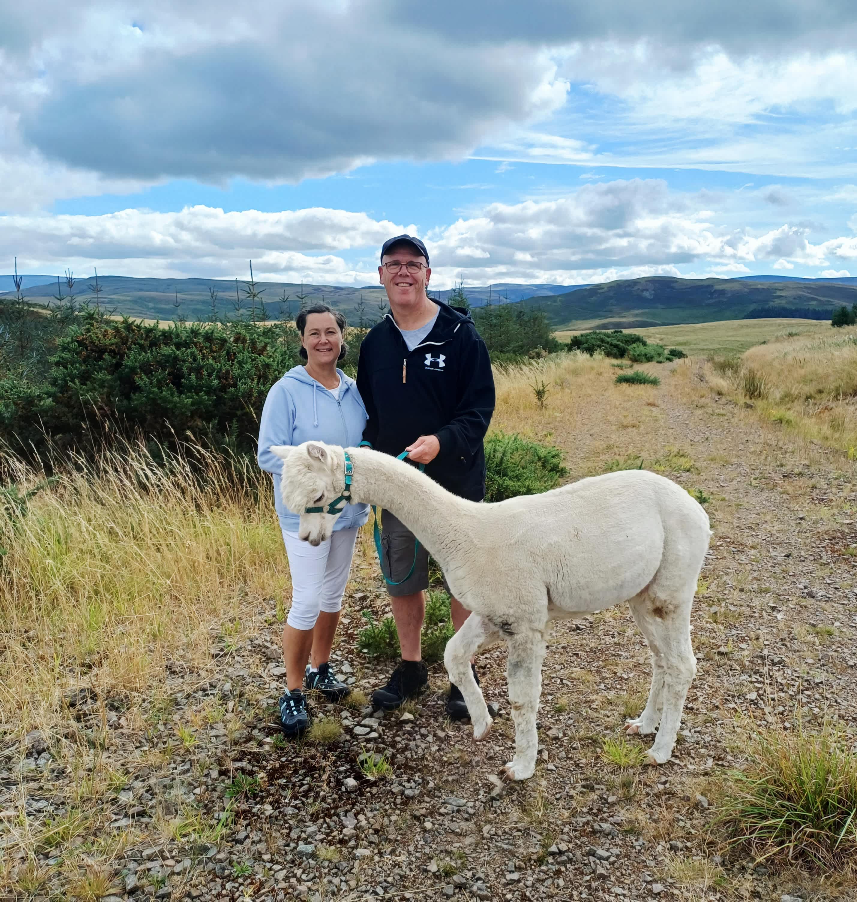 Beirhope Alpacas