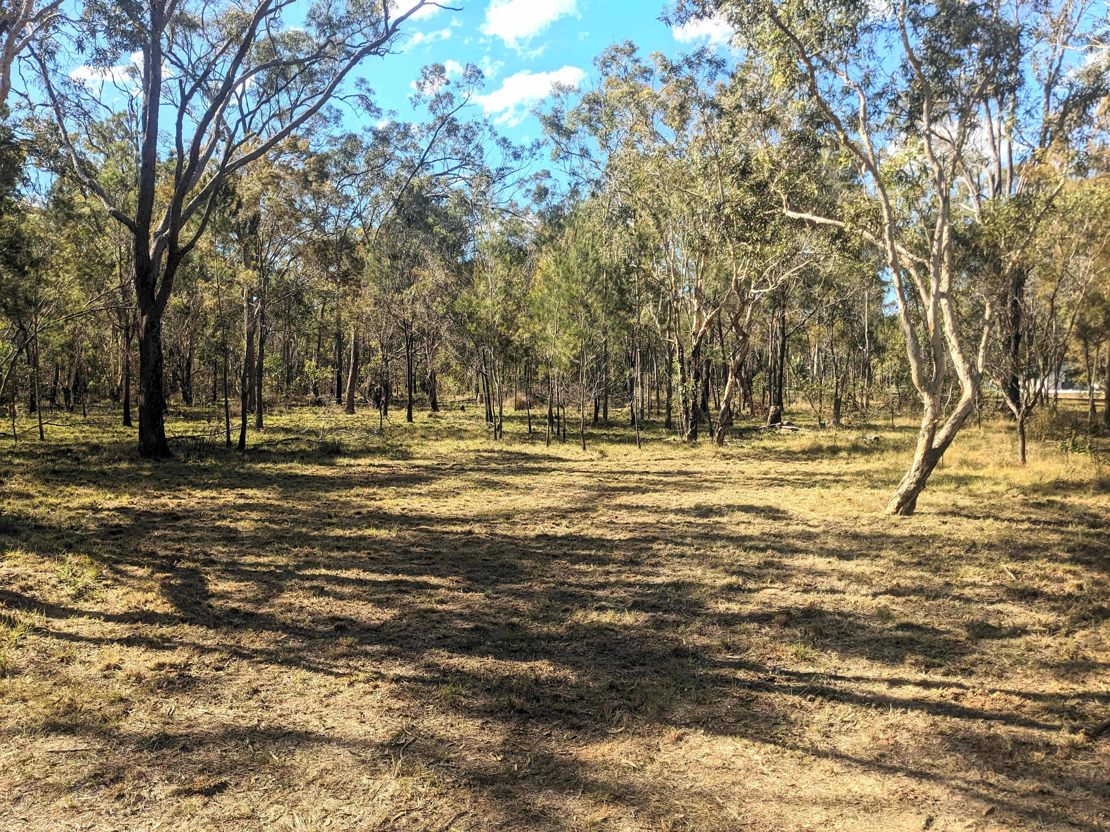 Woodlands Farmstay and Glamping