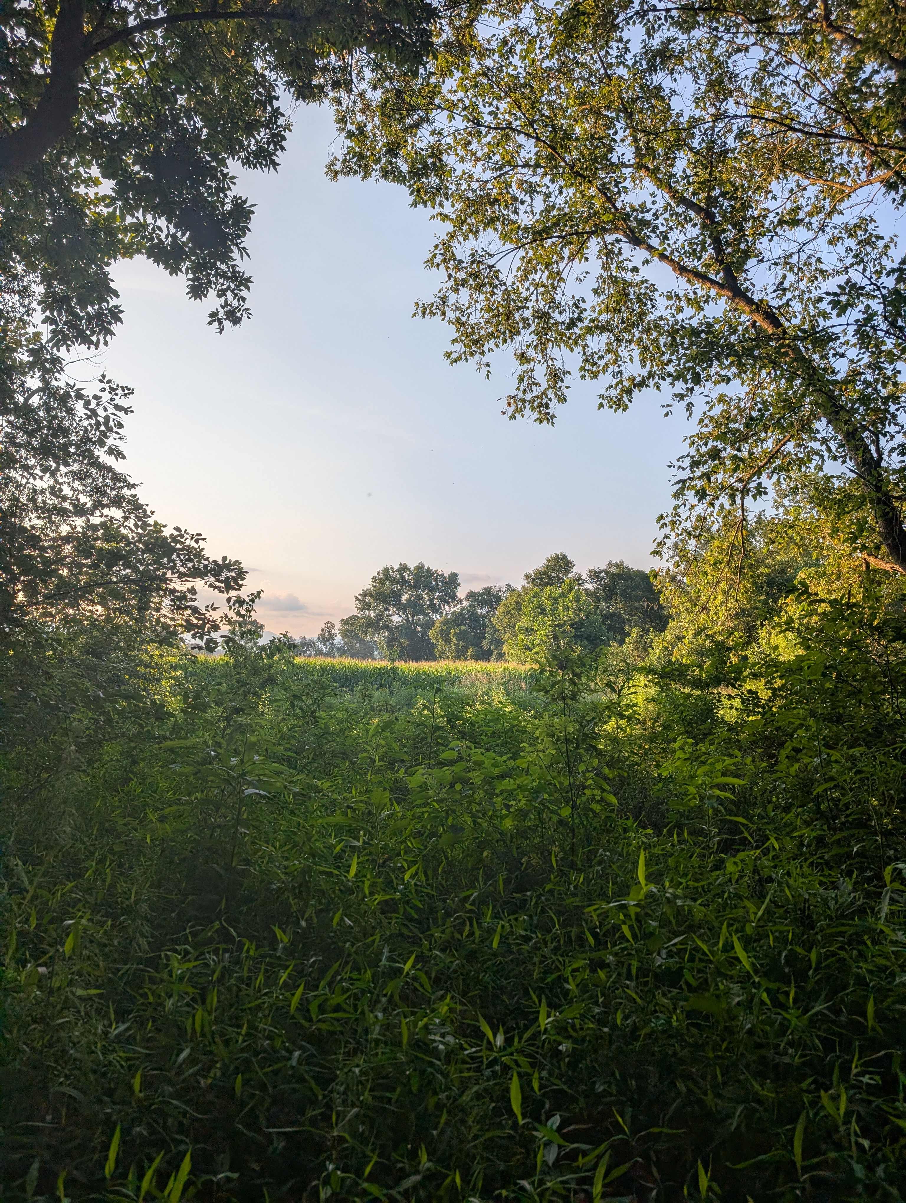 View from the short trail nearby. 