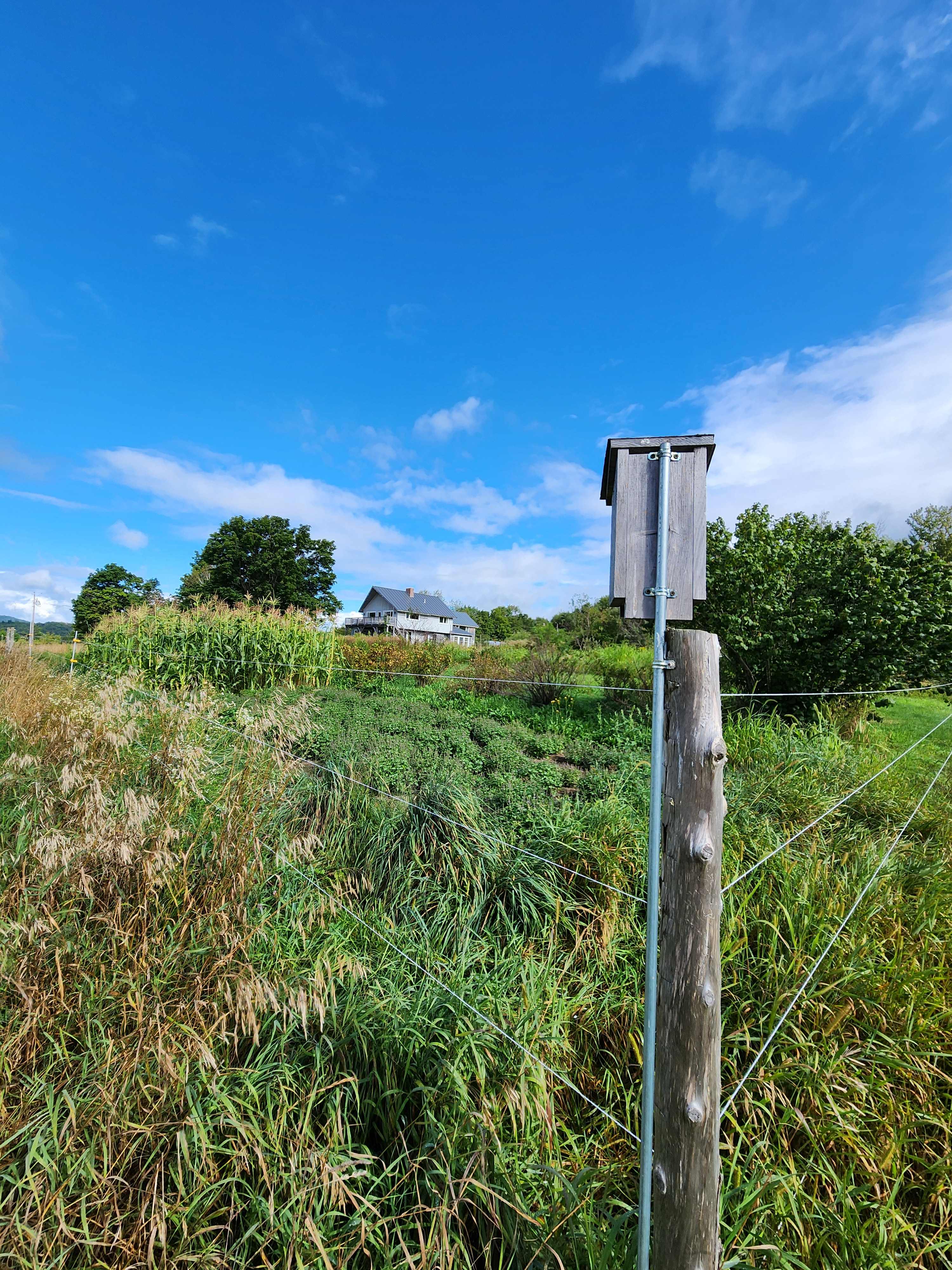 Metta Earth Farm Stay