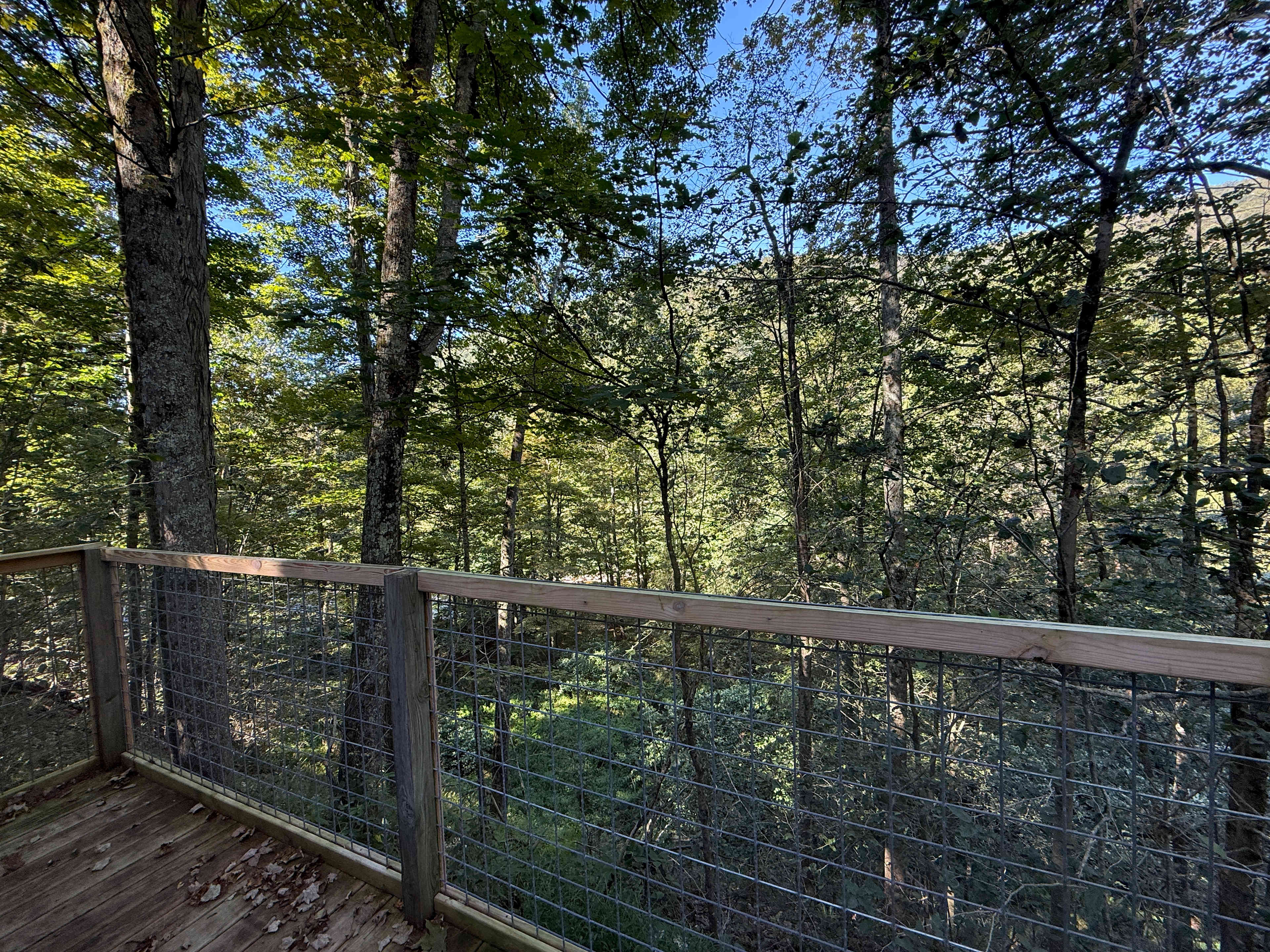 View from the back balcony