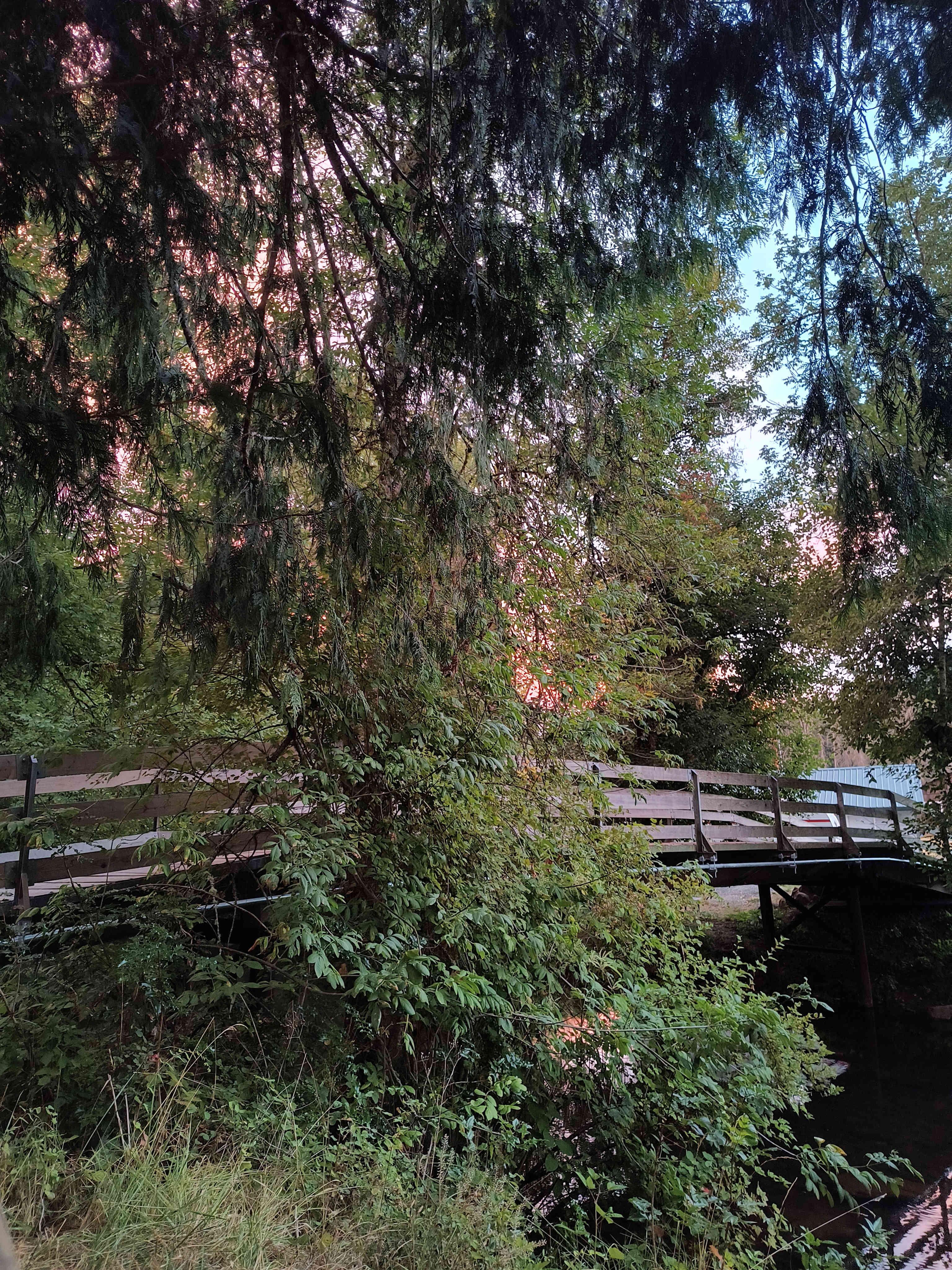 Creekside camping with showers