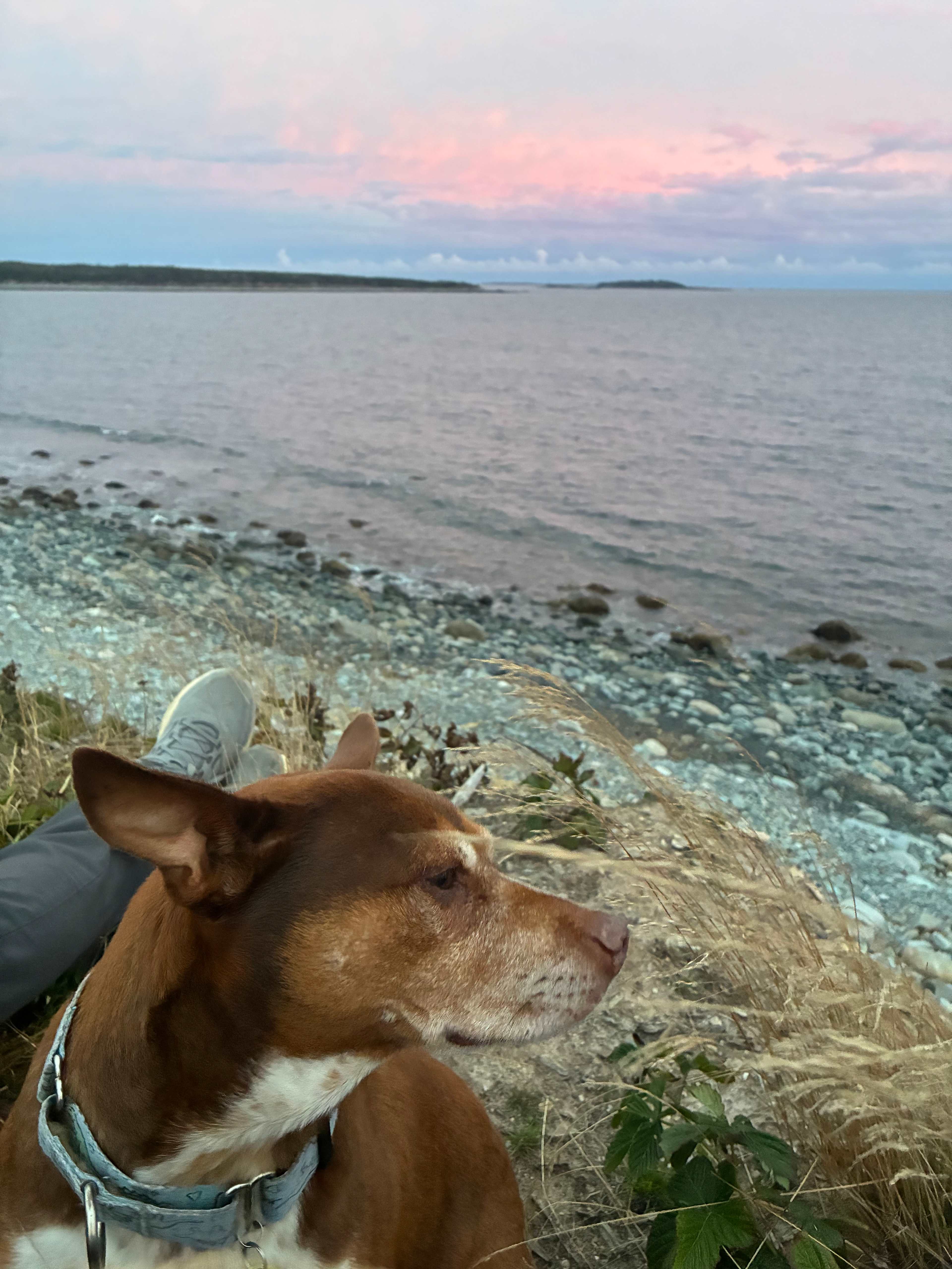 Tent/Camper Camping by the Ocean!