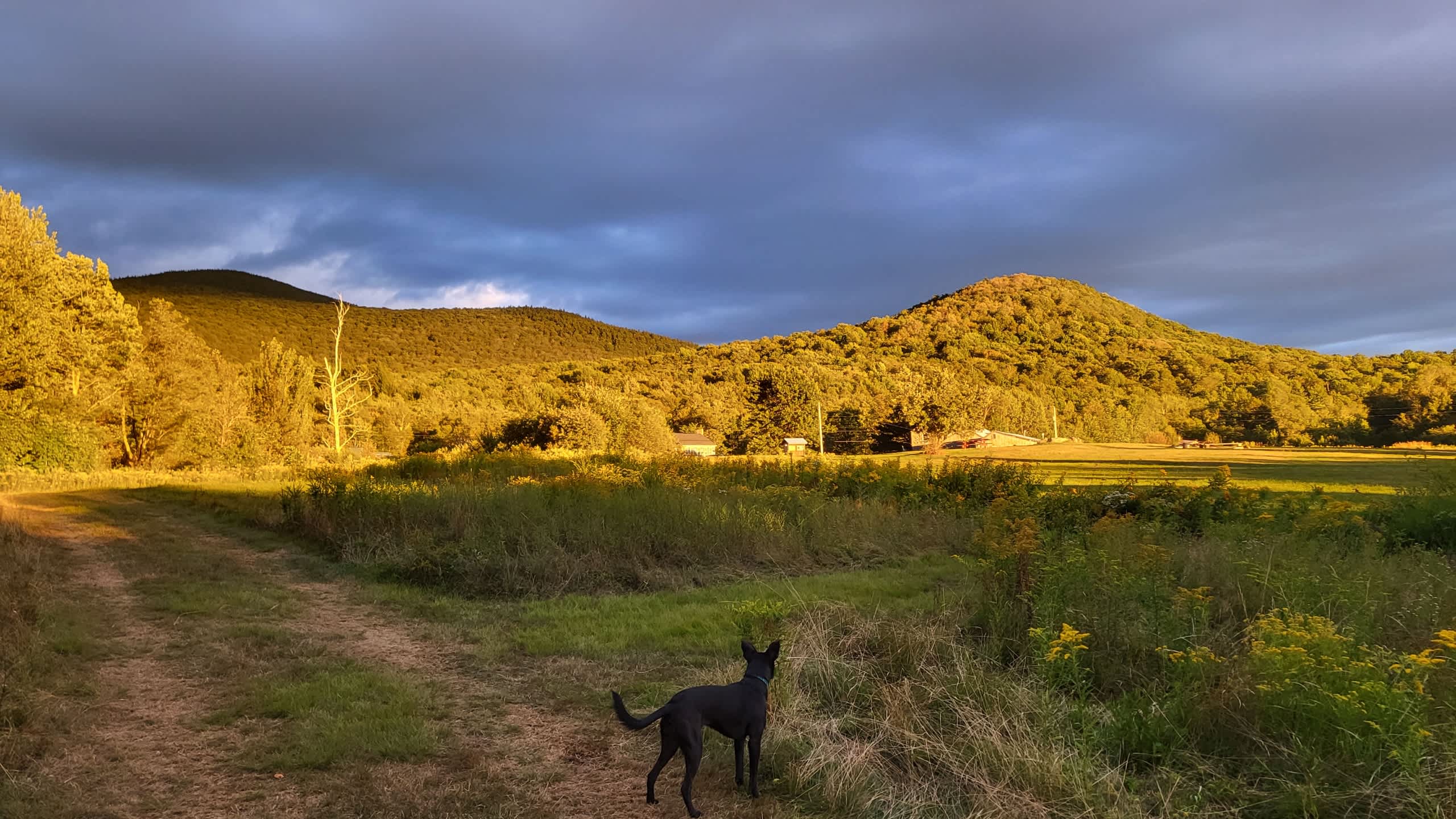Beautiful view from our campsite 