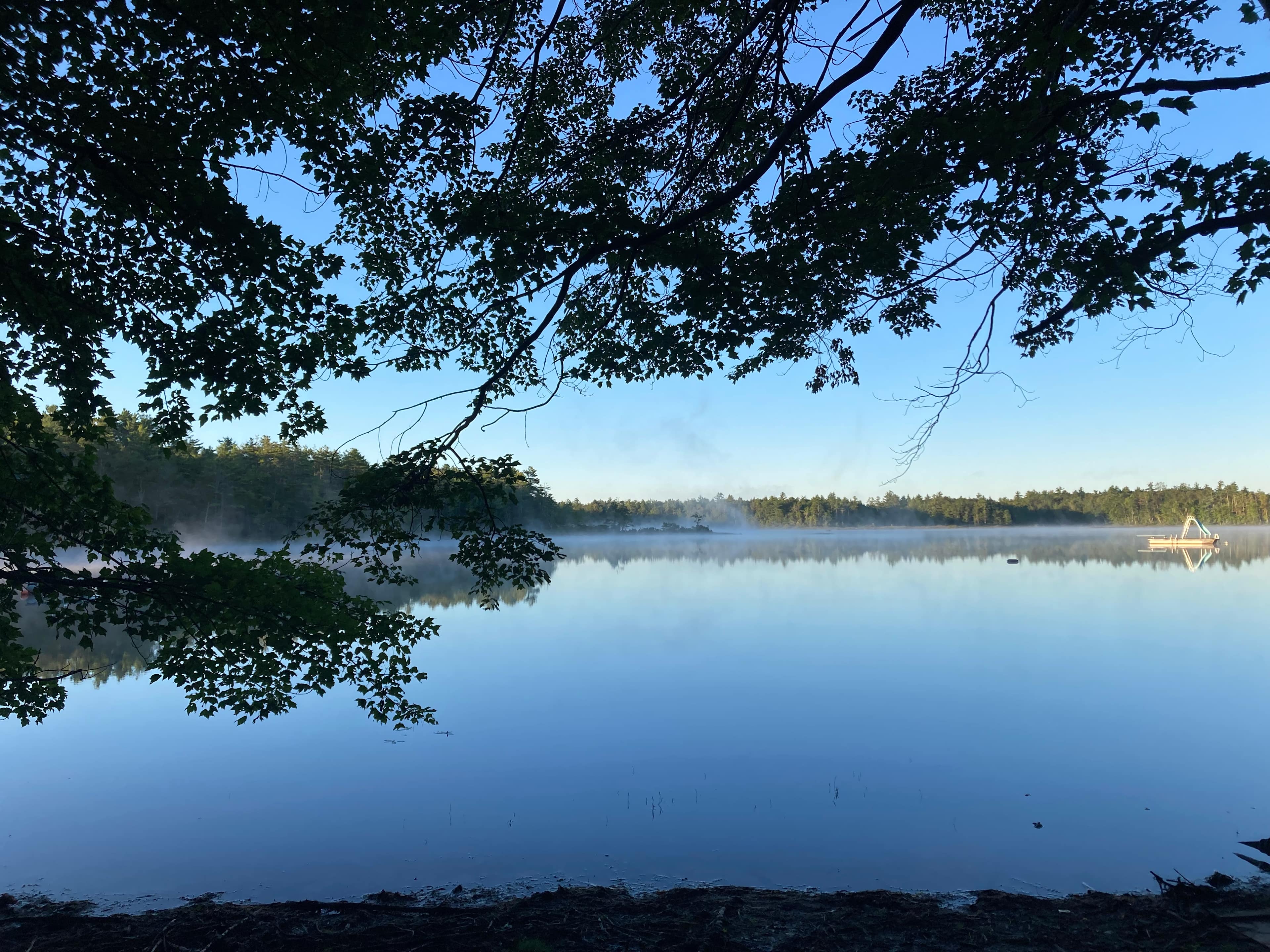 Right In front of the horse trailer 