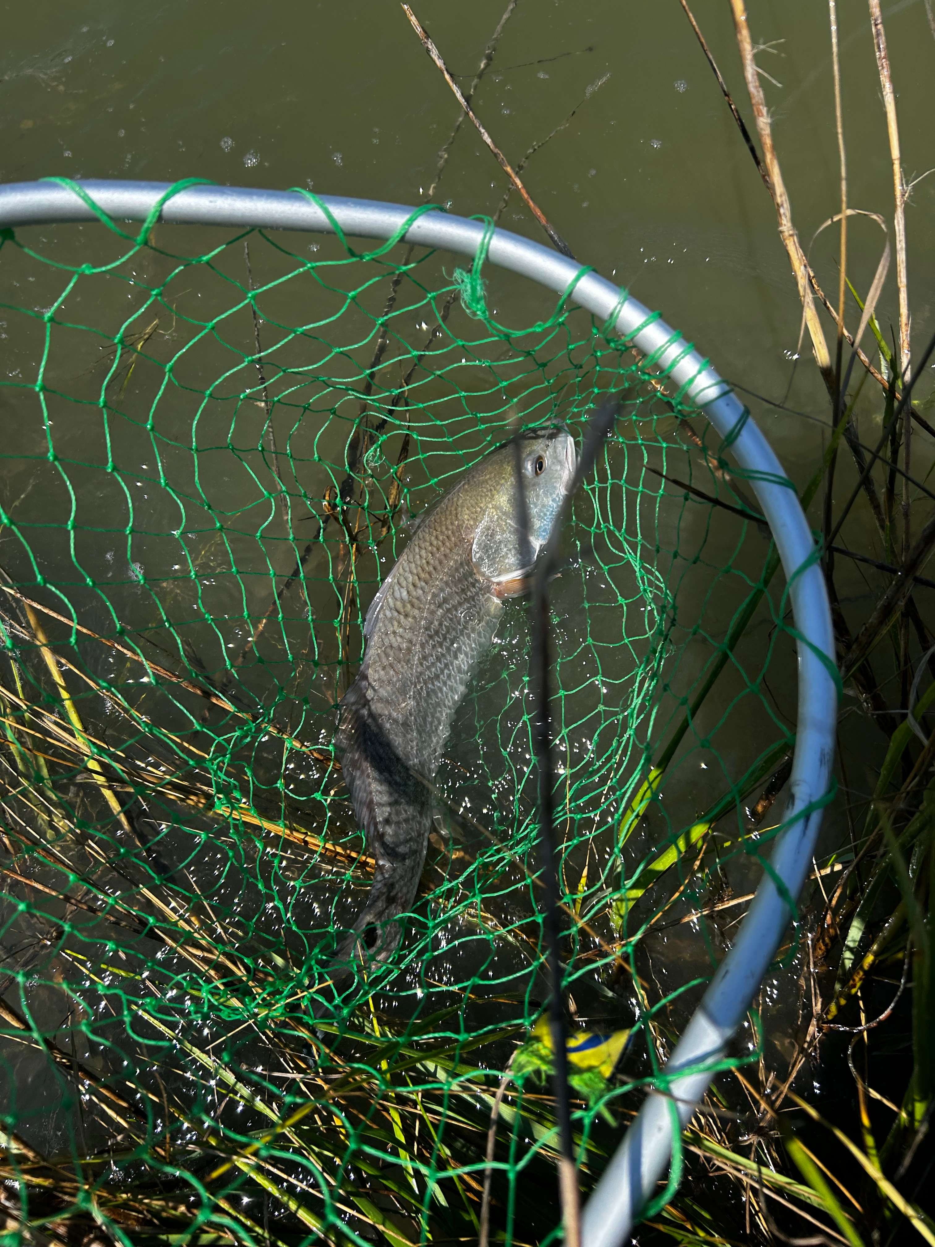 Carly's Bait And Boondocking