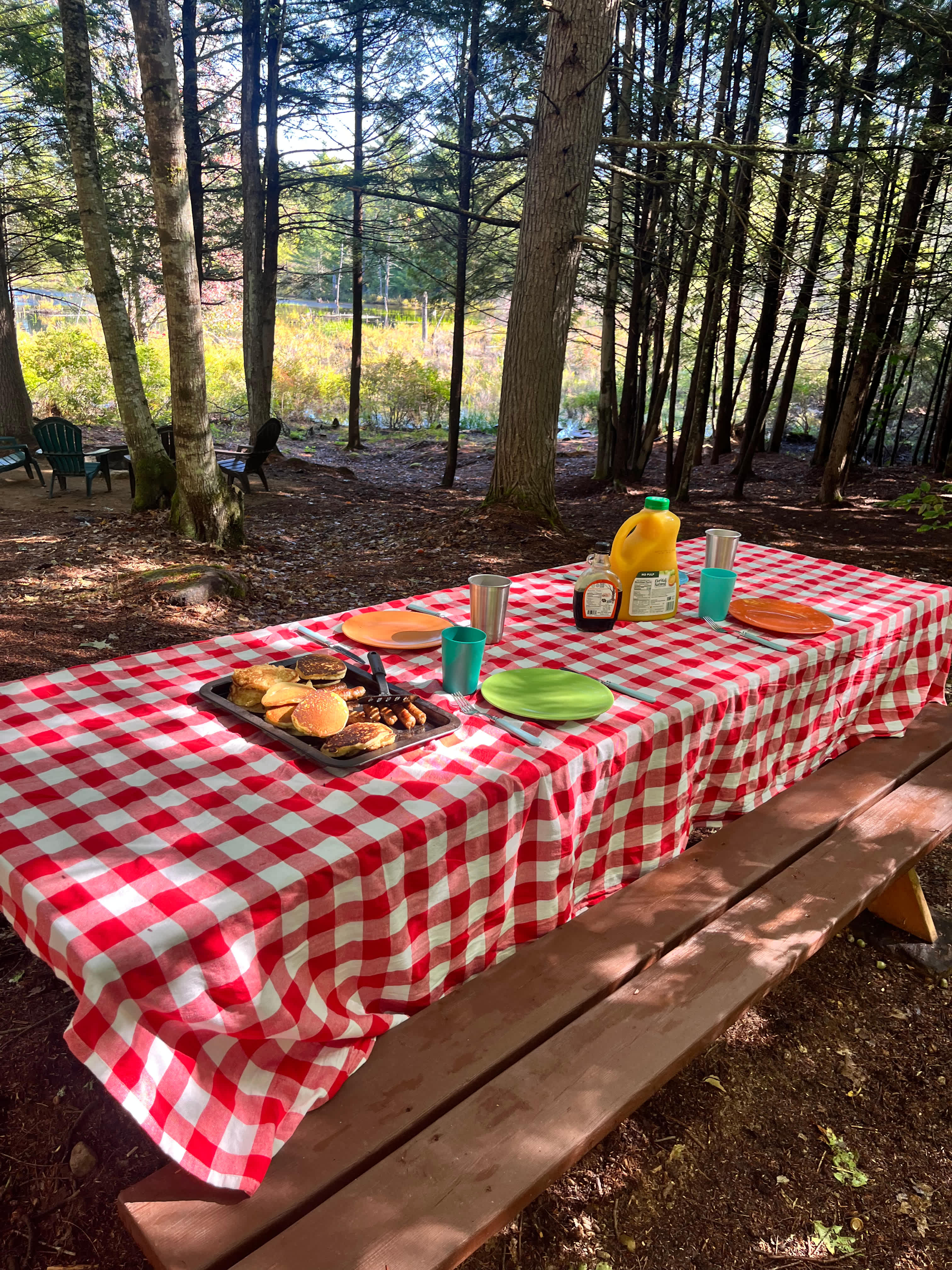Great view from picnic table!