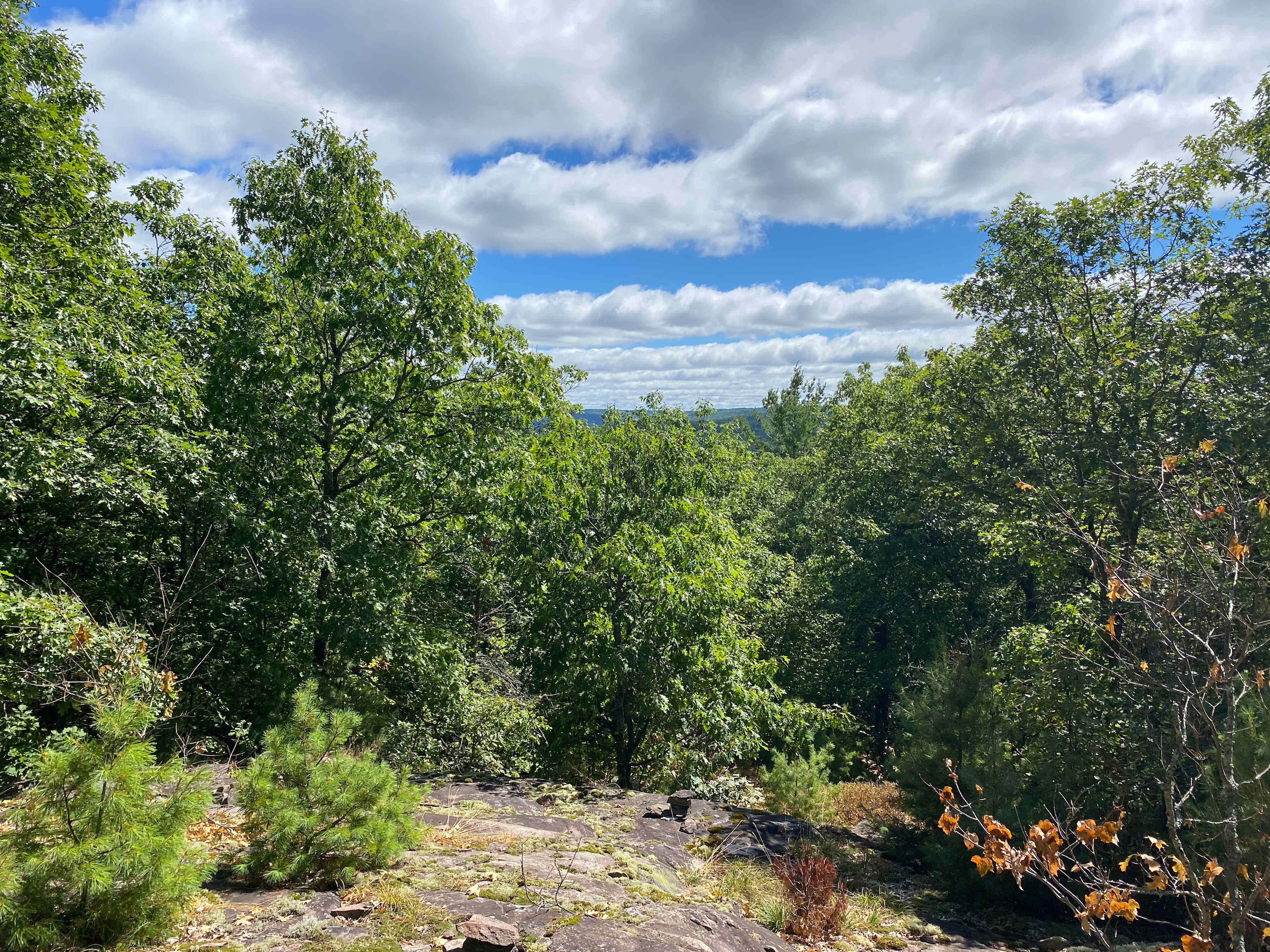 Nature's Harmony Wilderness Retreat