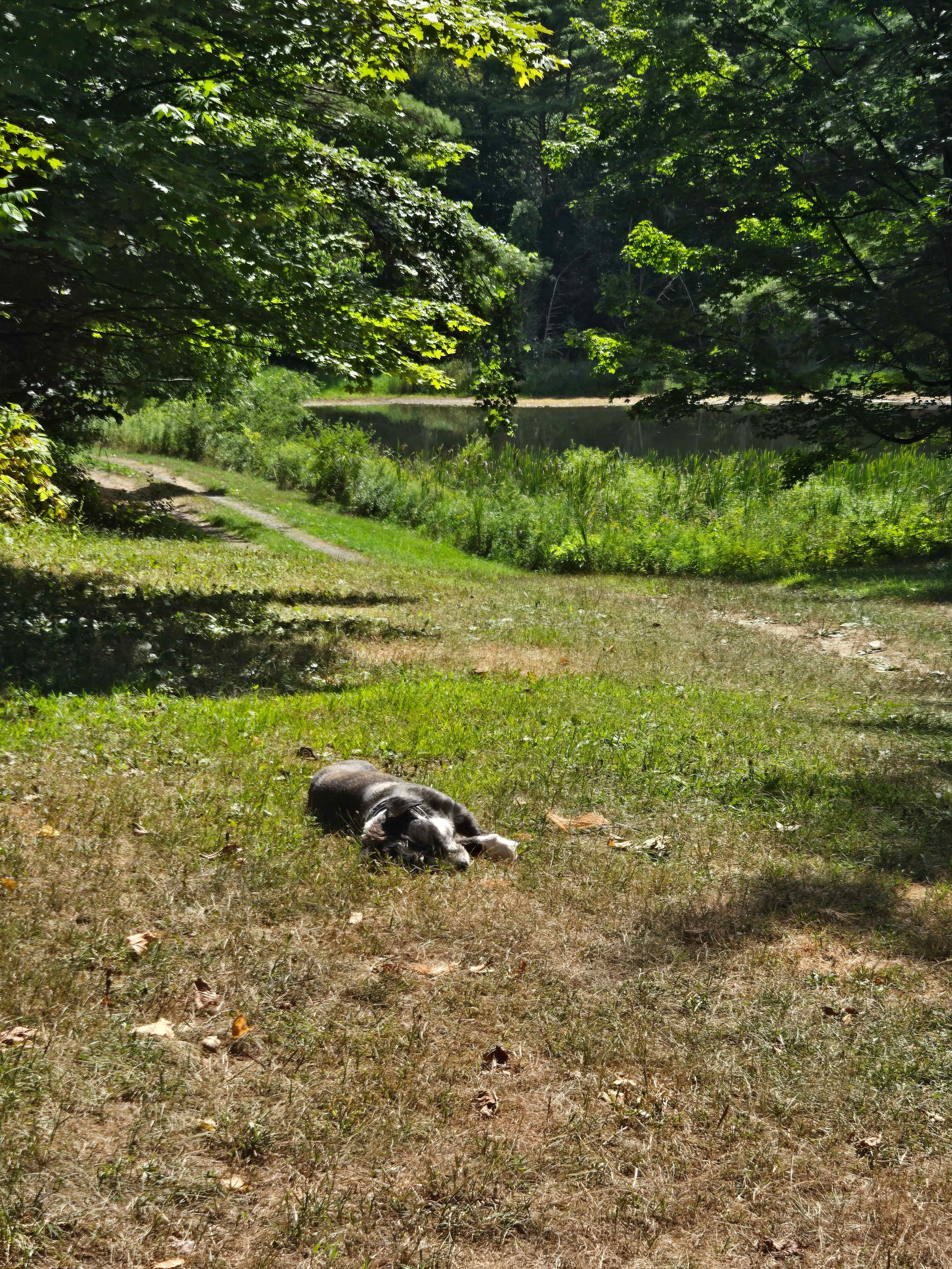 Wilderness Pond Cabin :Off-the-grid