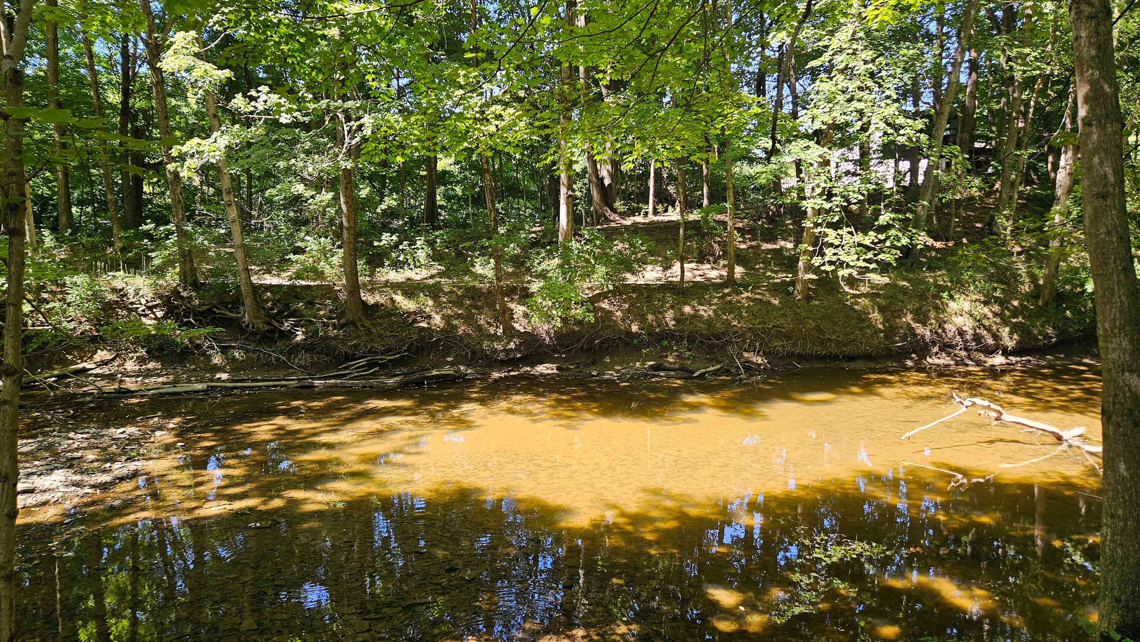 Stargazer Glamping Campsite