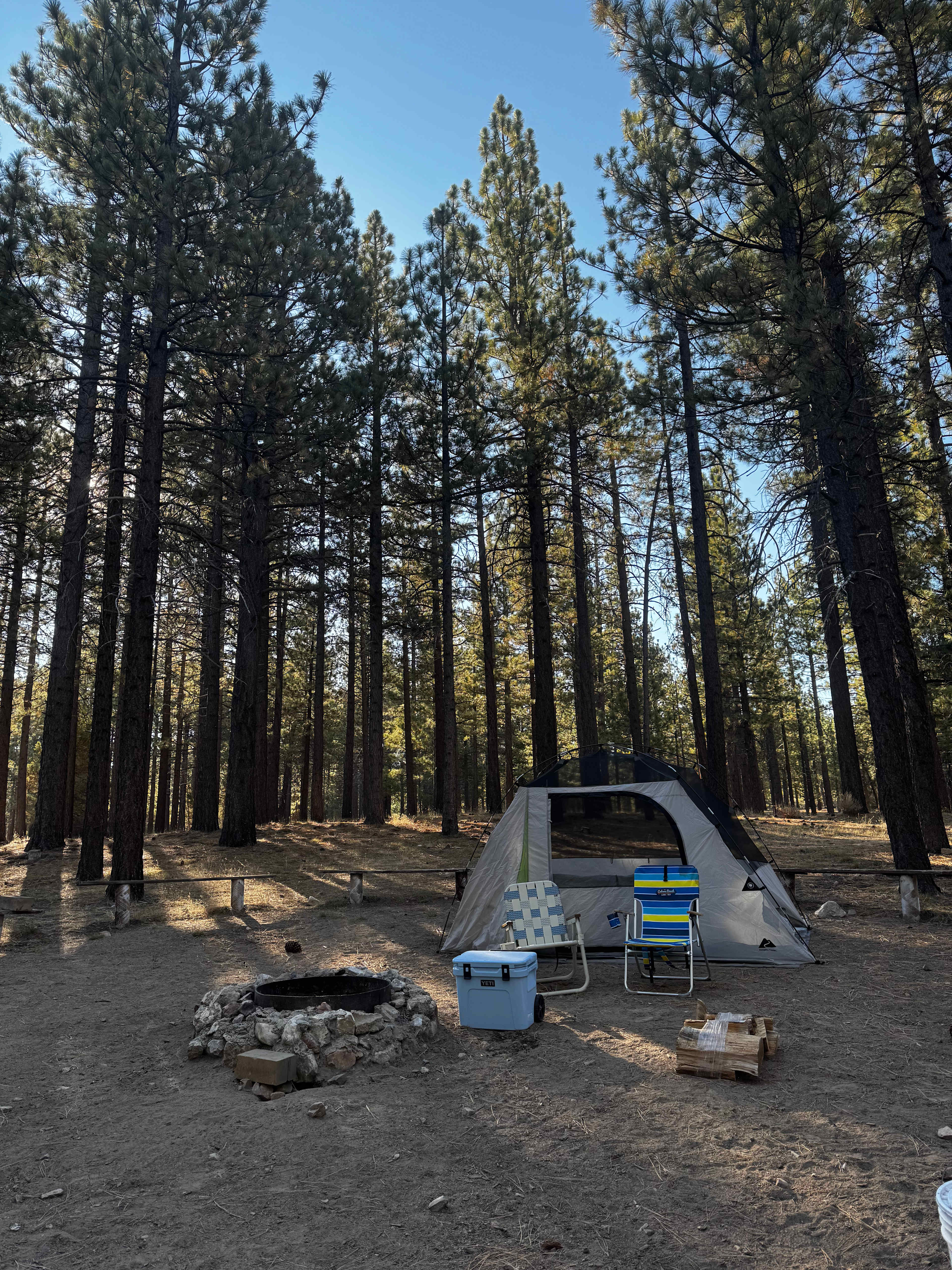 Holcomb Valley Ranch