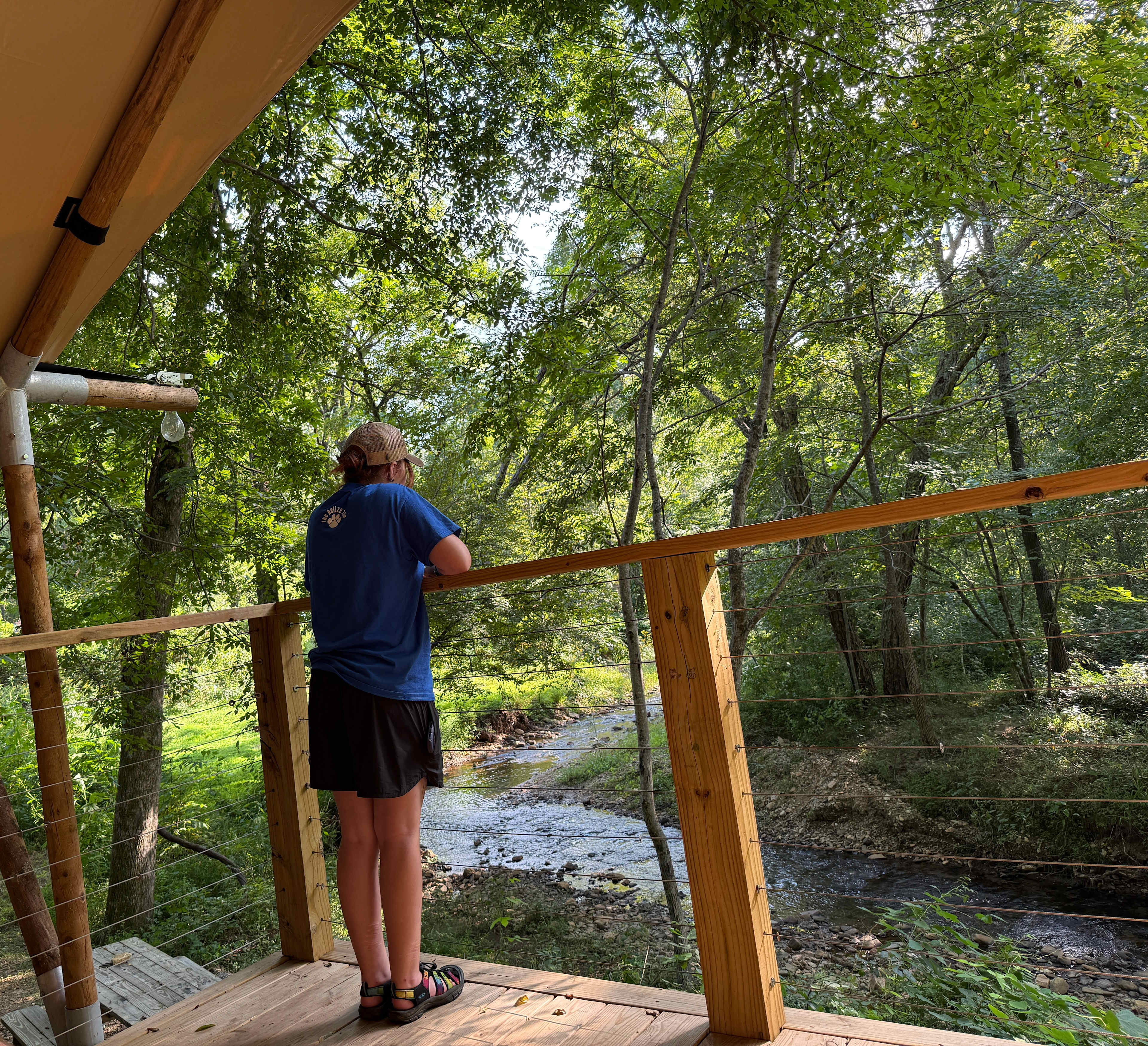 TangleWood Creekside Campsites