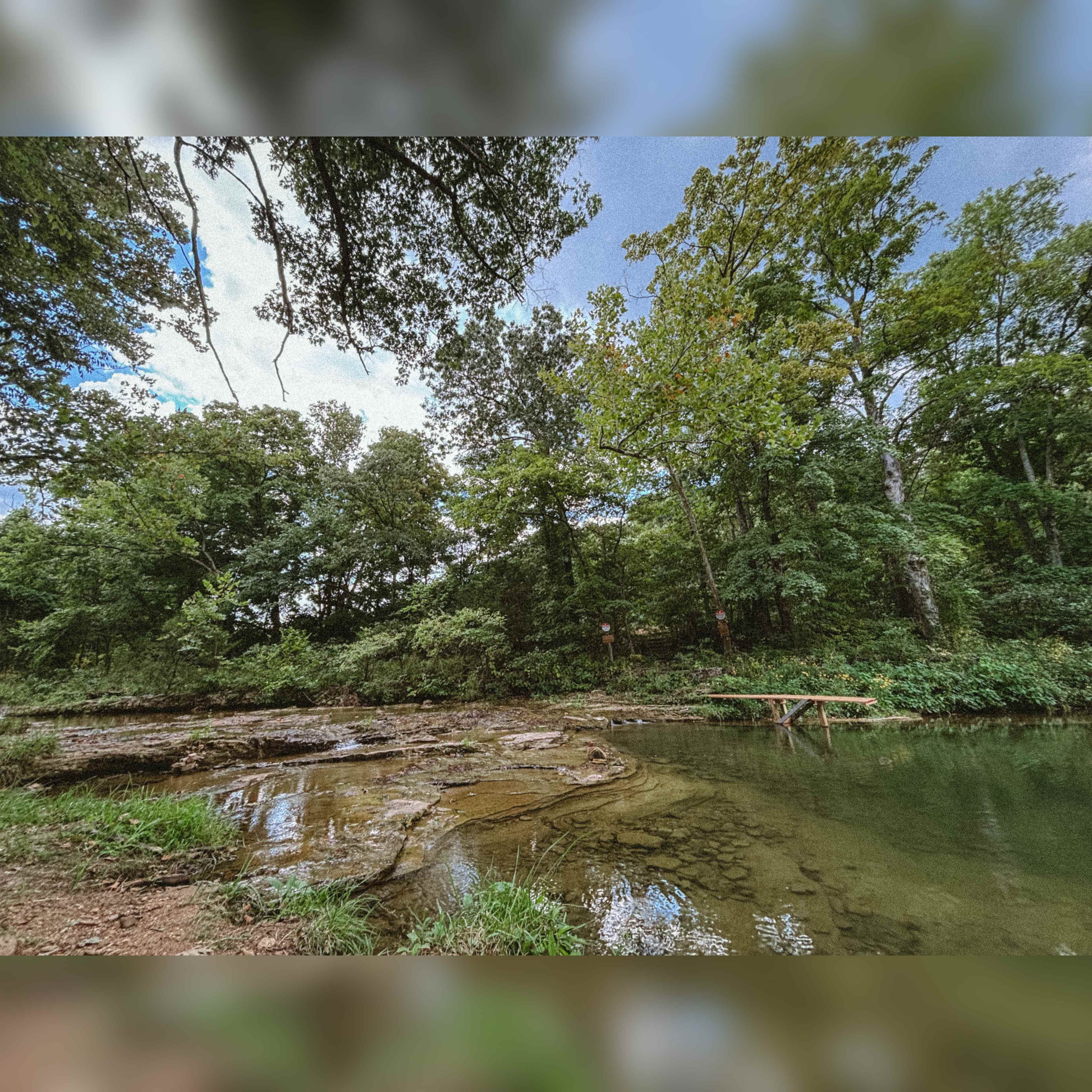 Such and Such Farm Swimming Hole
