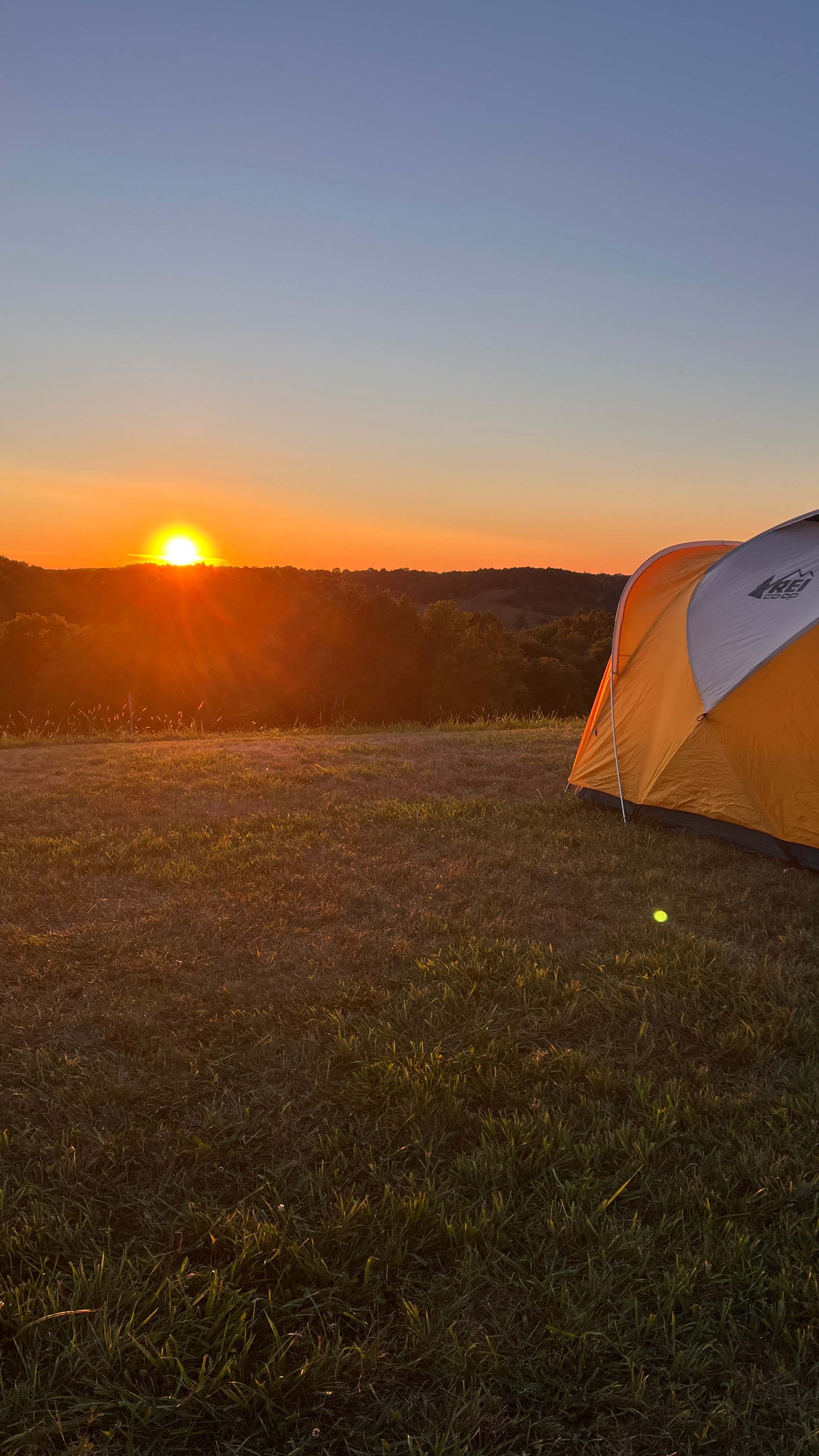 I mean, gorgeous, right?!? 