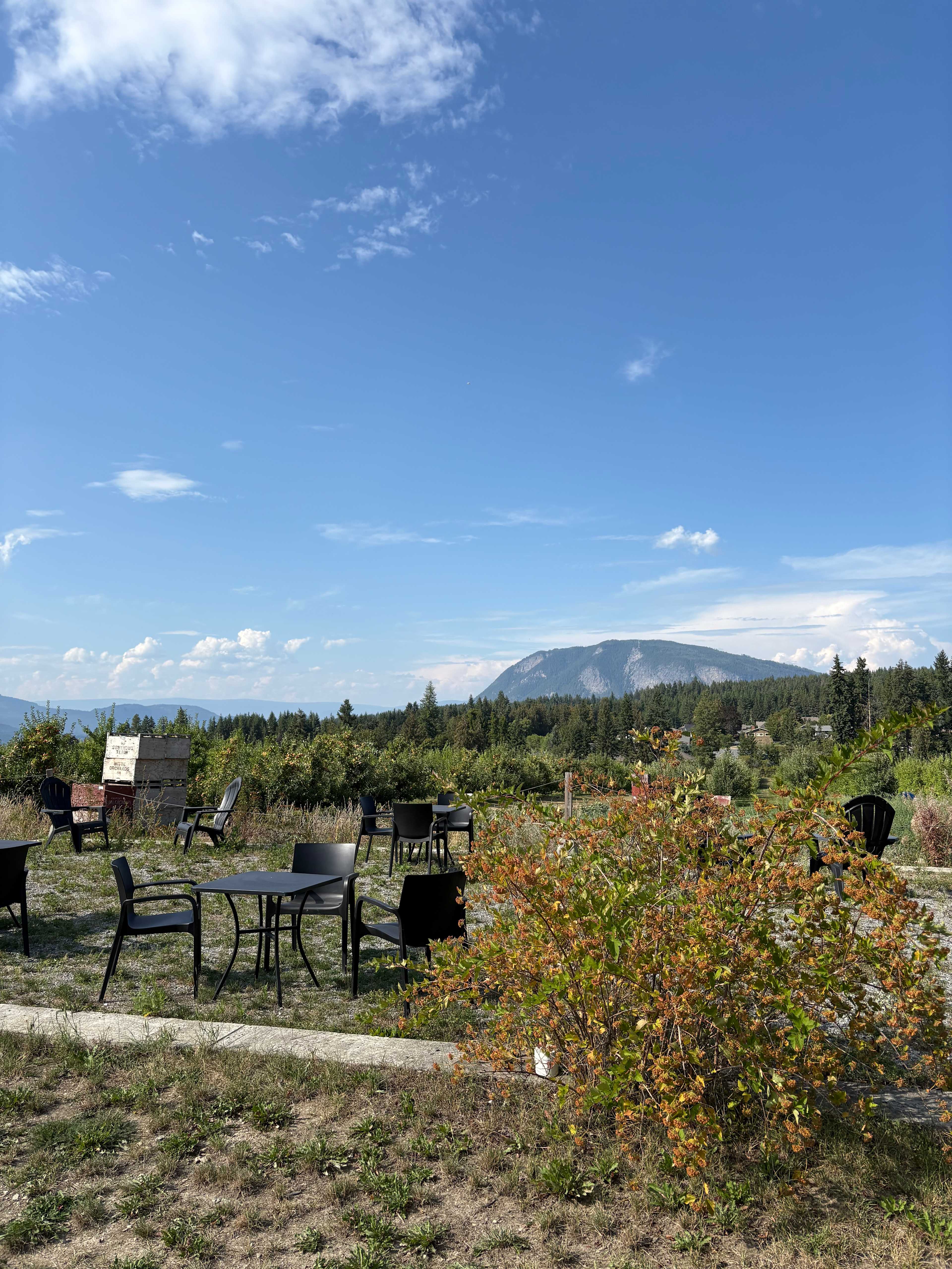 Northyards Cider Co.