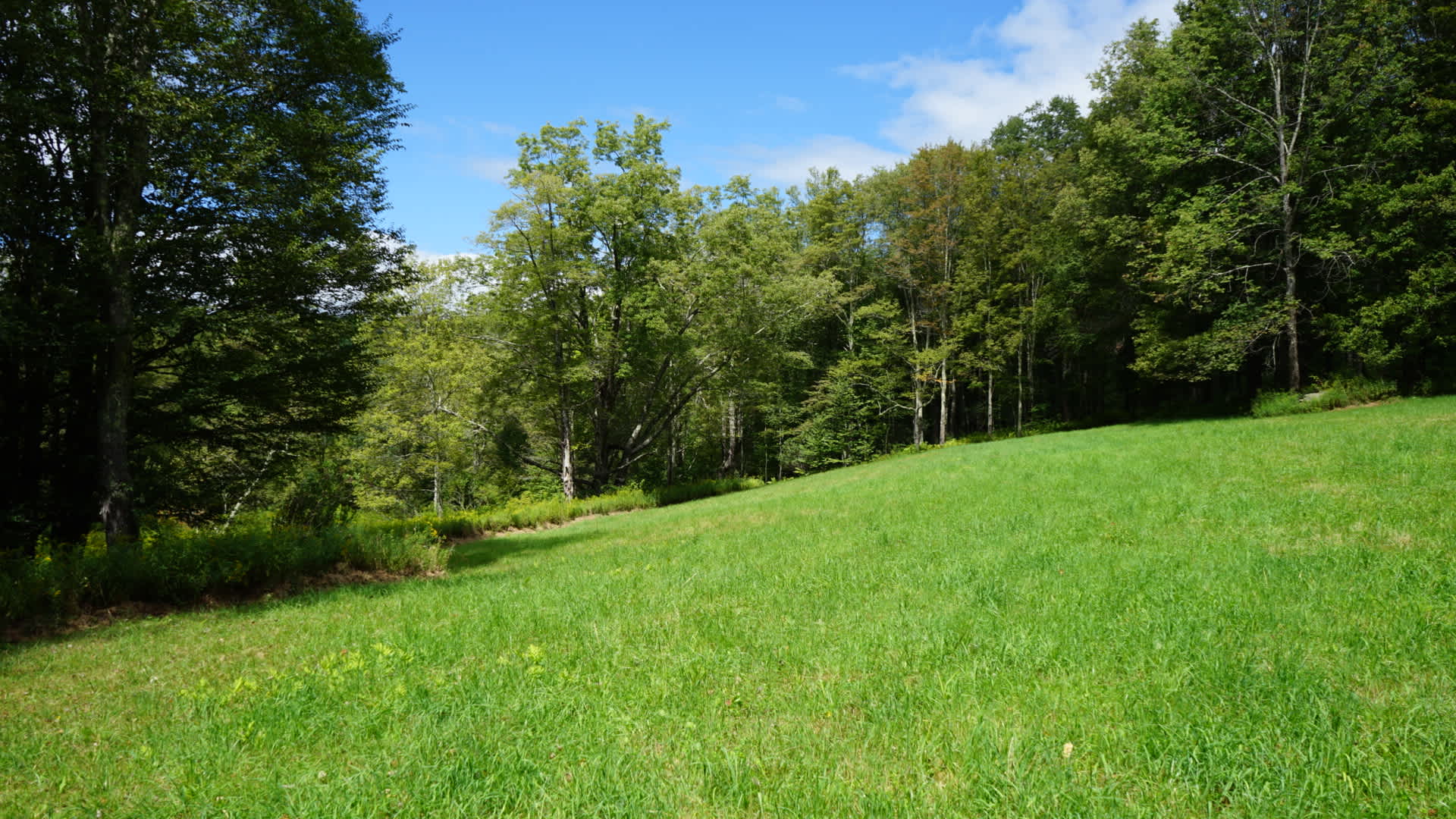 Hillside Retreat @ Three Barn Farm