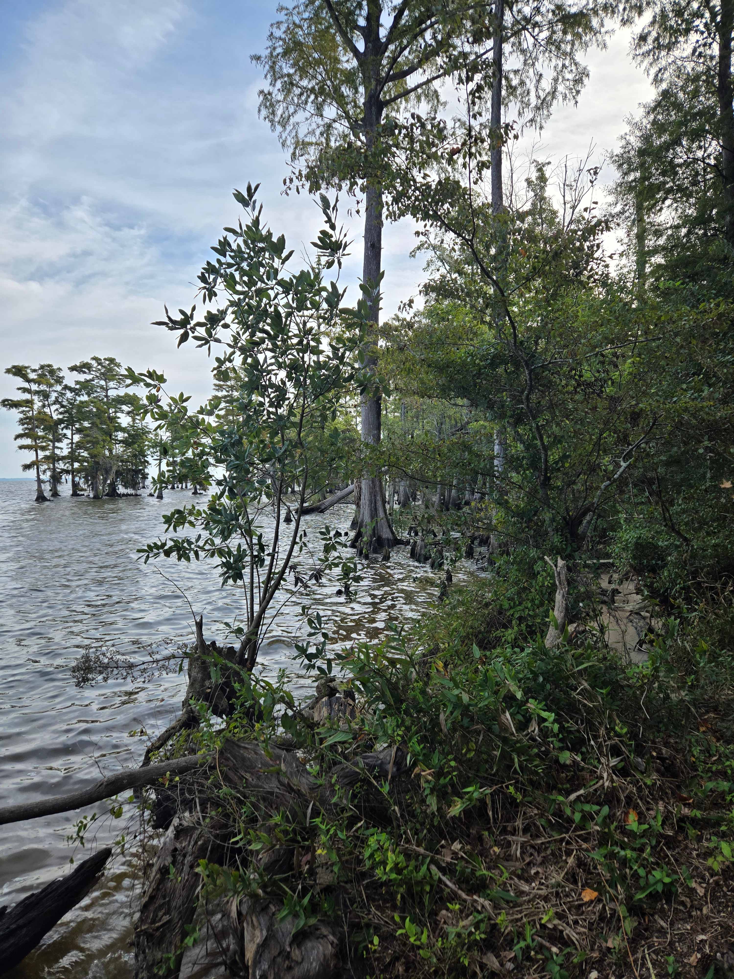 Spruill Conservation Farm