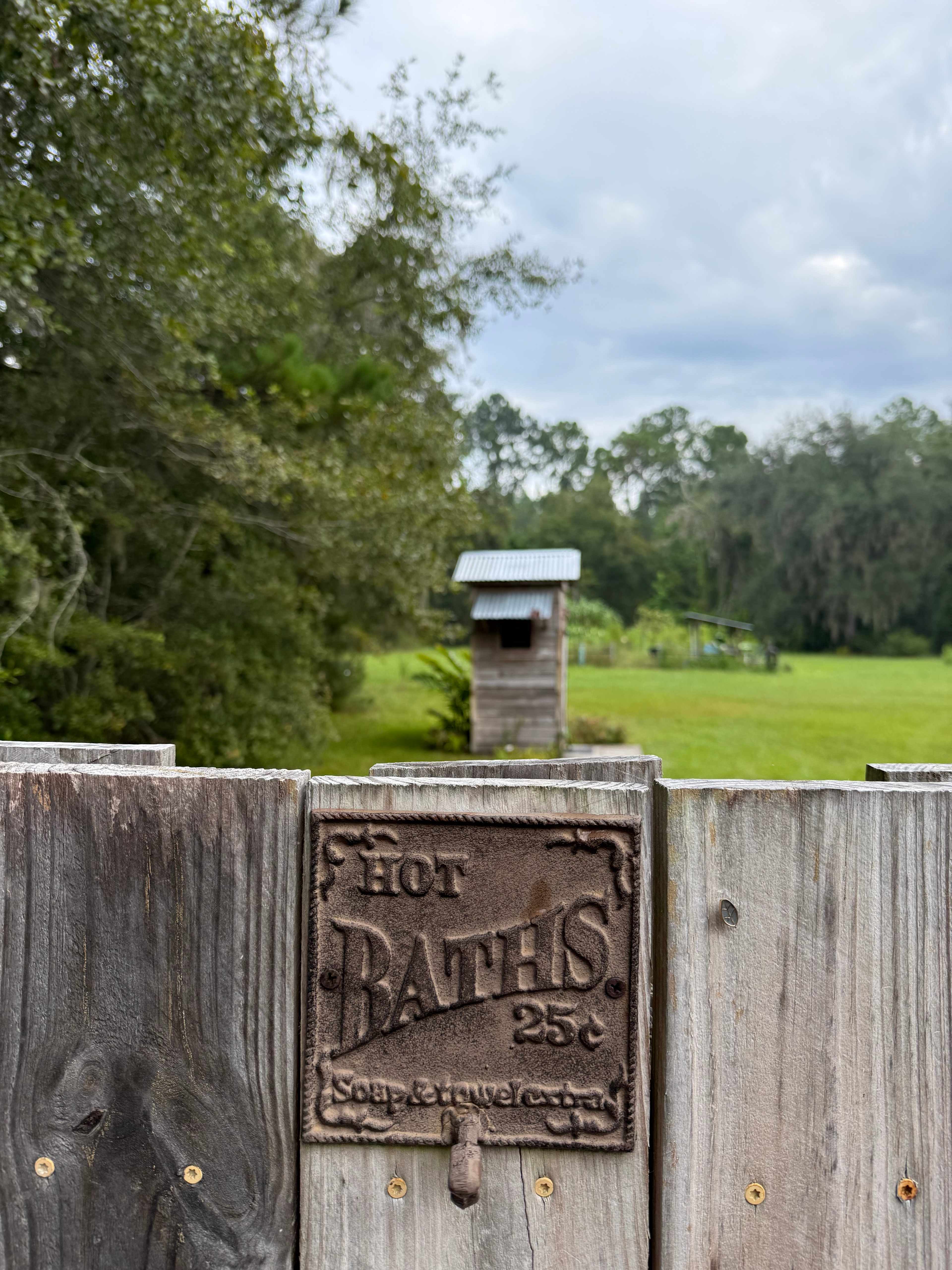 Wildflower Pond and Woodlands