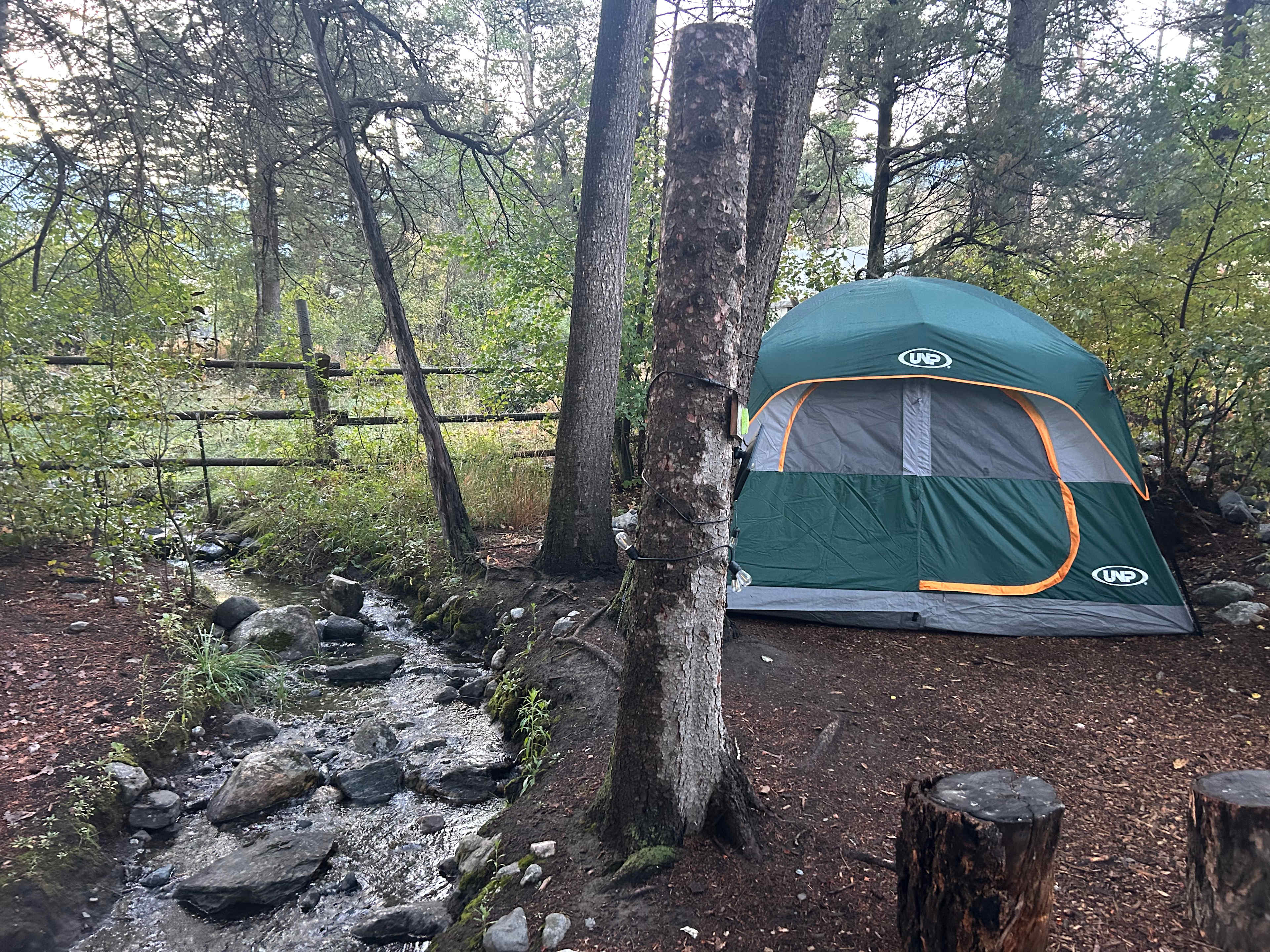 Jammin Jackalope Camping