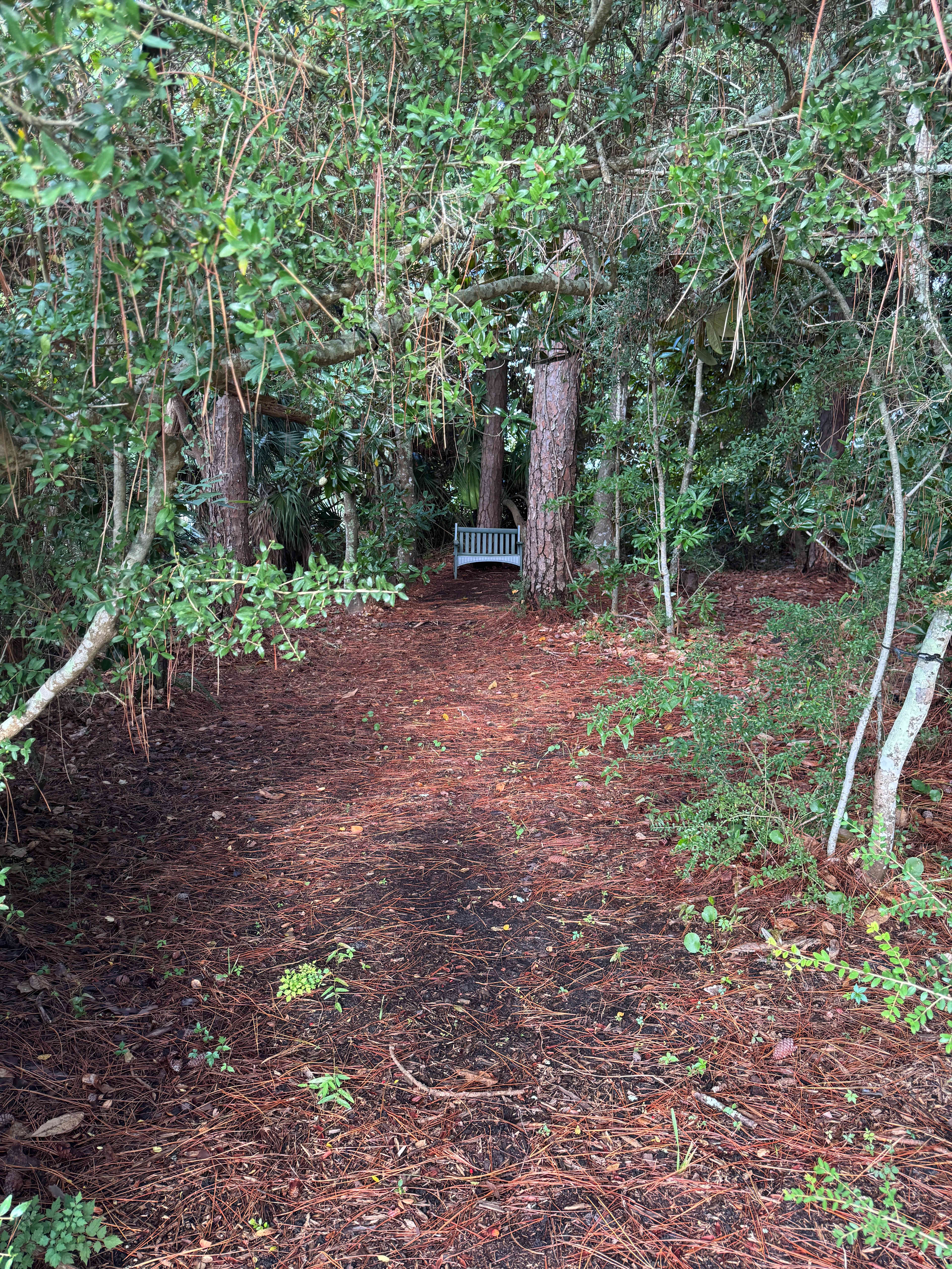 Magnolias by the Bay RV Site & Dock