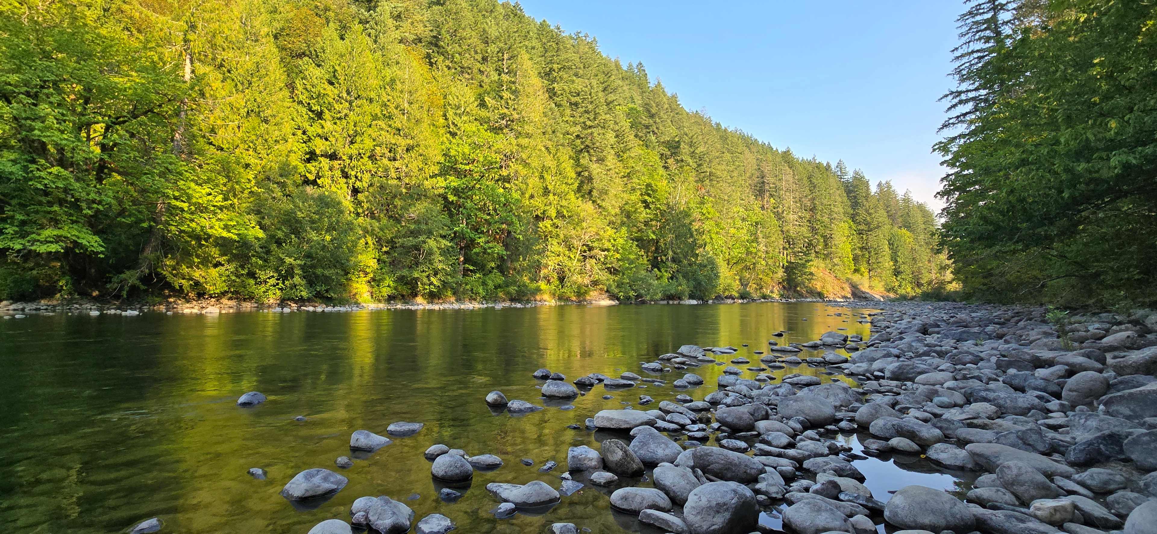 Forested with River Access/Firepit