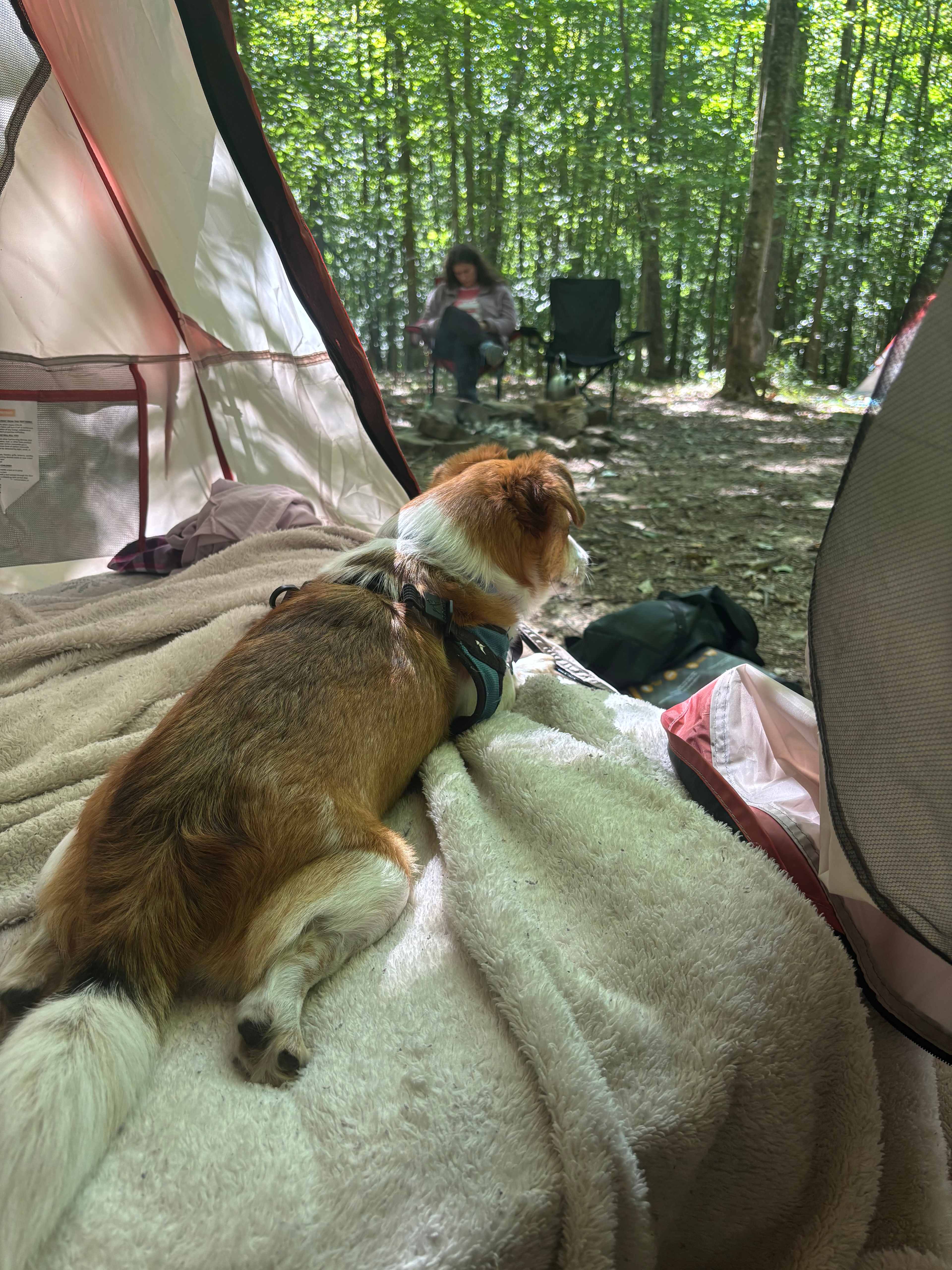 Boone Valley Campground