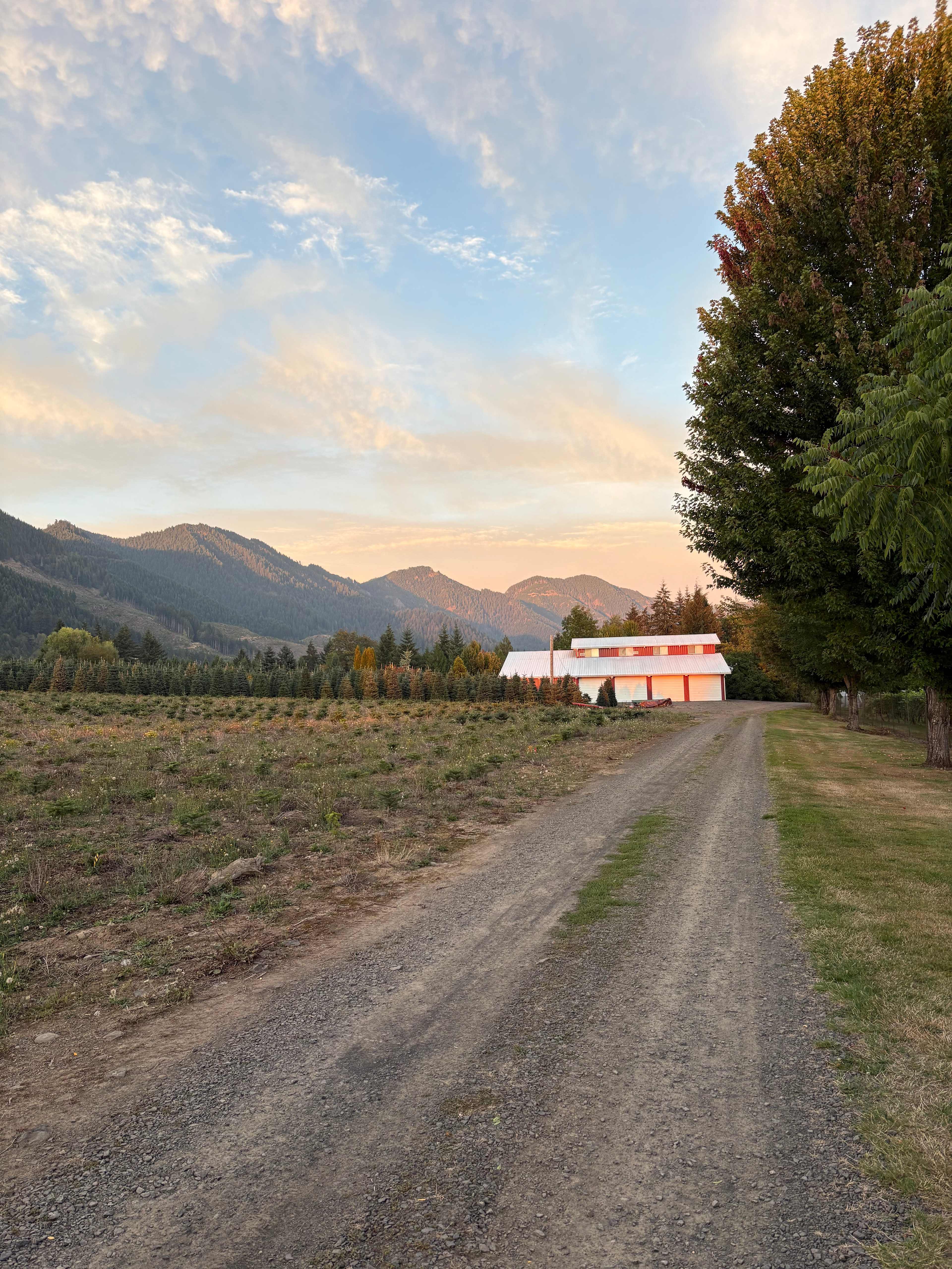 The Arboretum at Bear Canyon West
