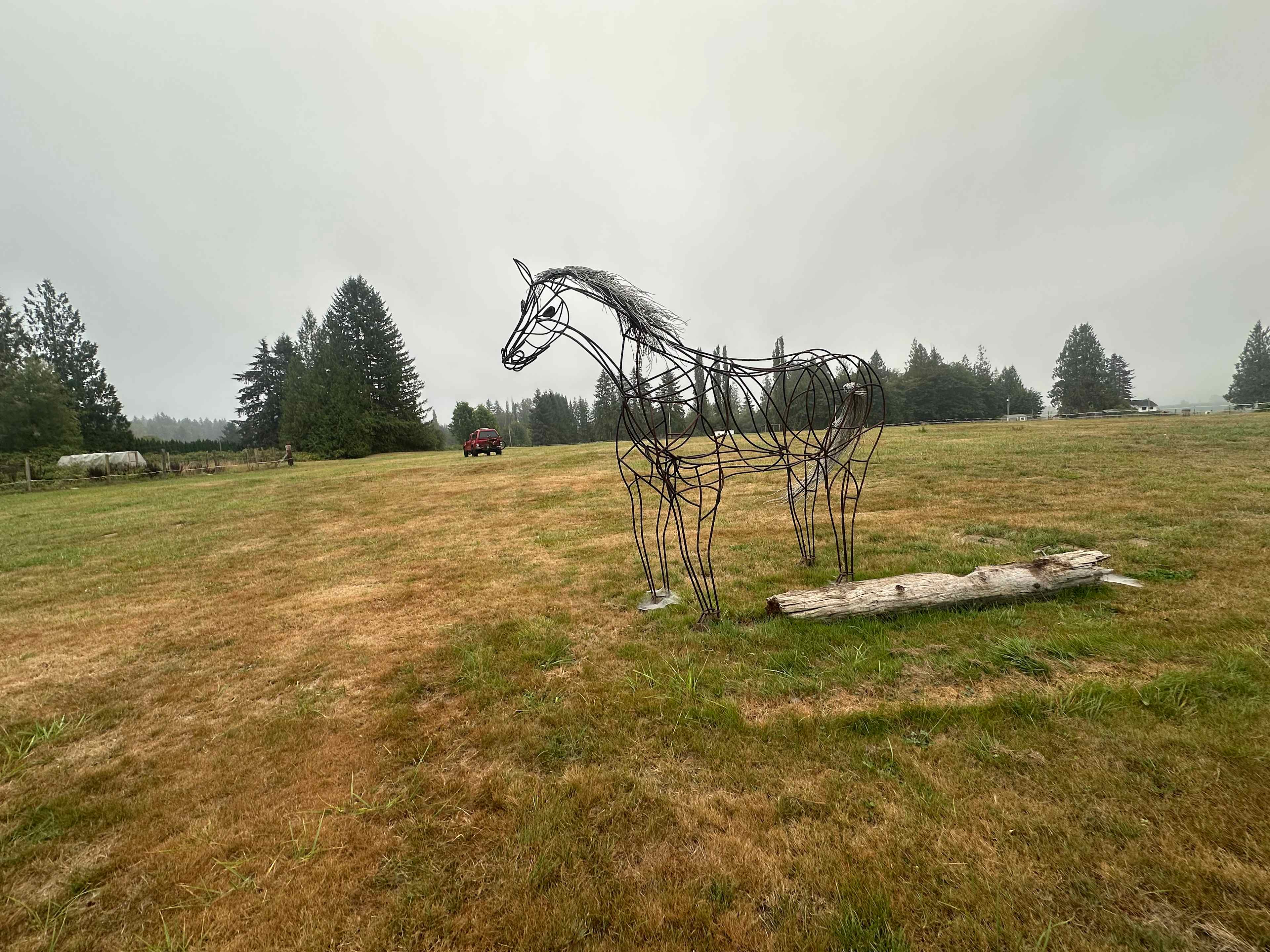 Honeysuckle Hollow