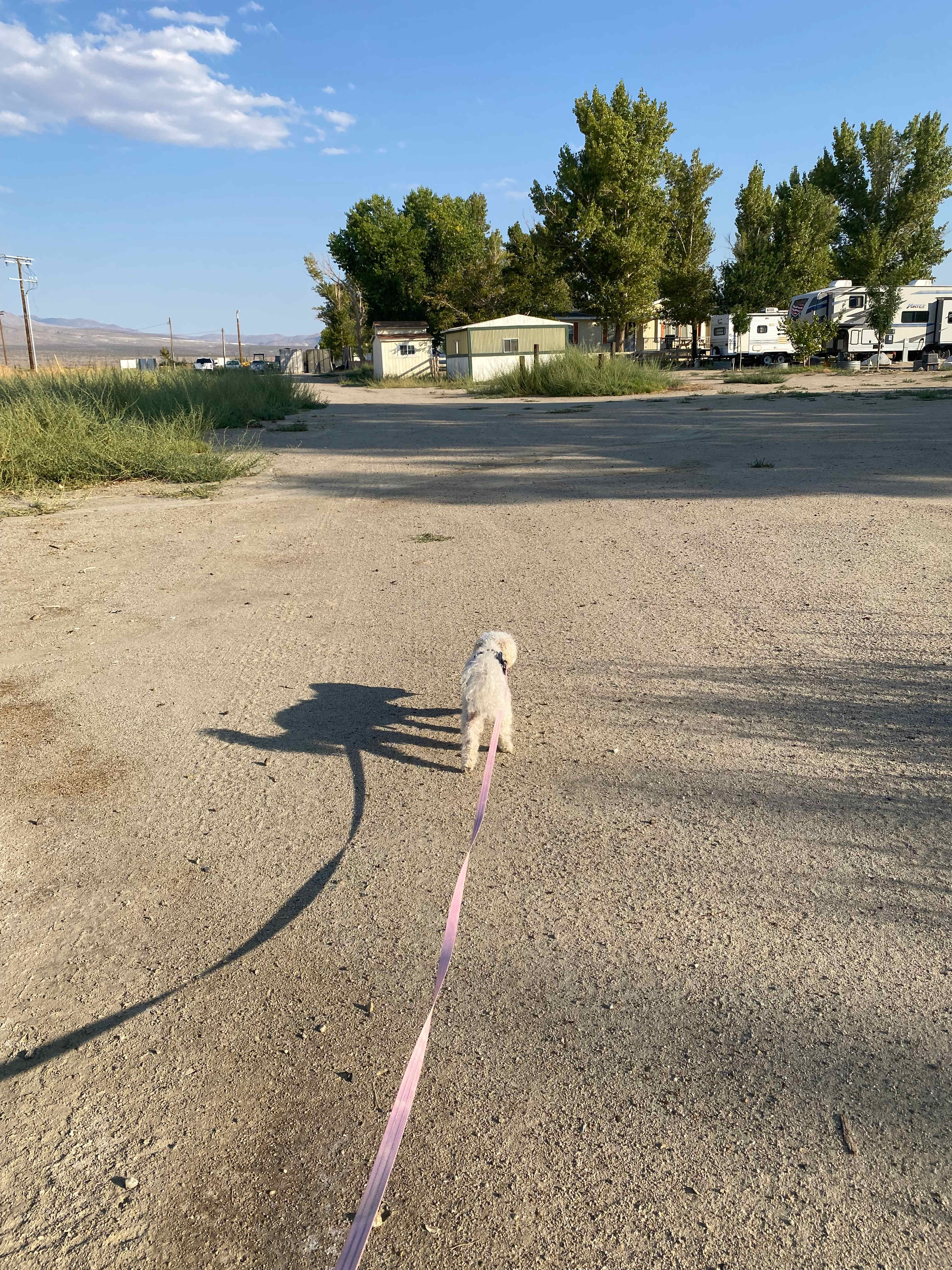 Lake Olancha RV Park and Campground