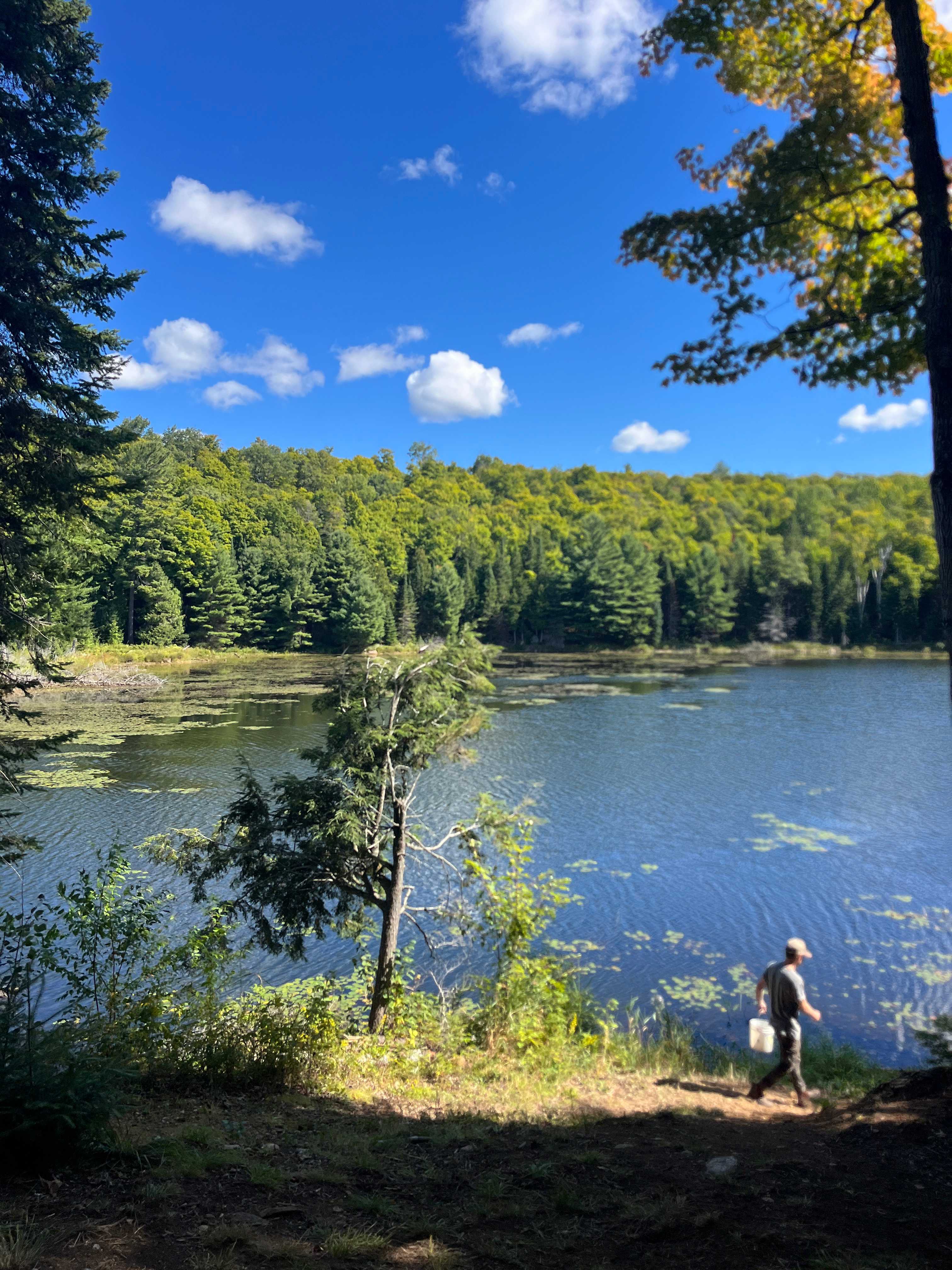 Ball Lake Tent Camping