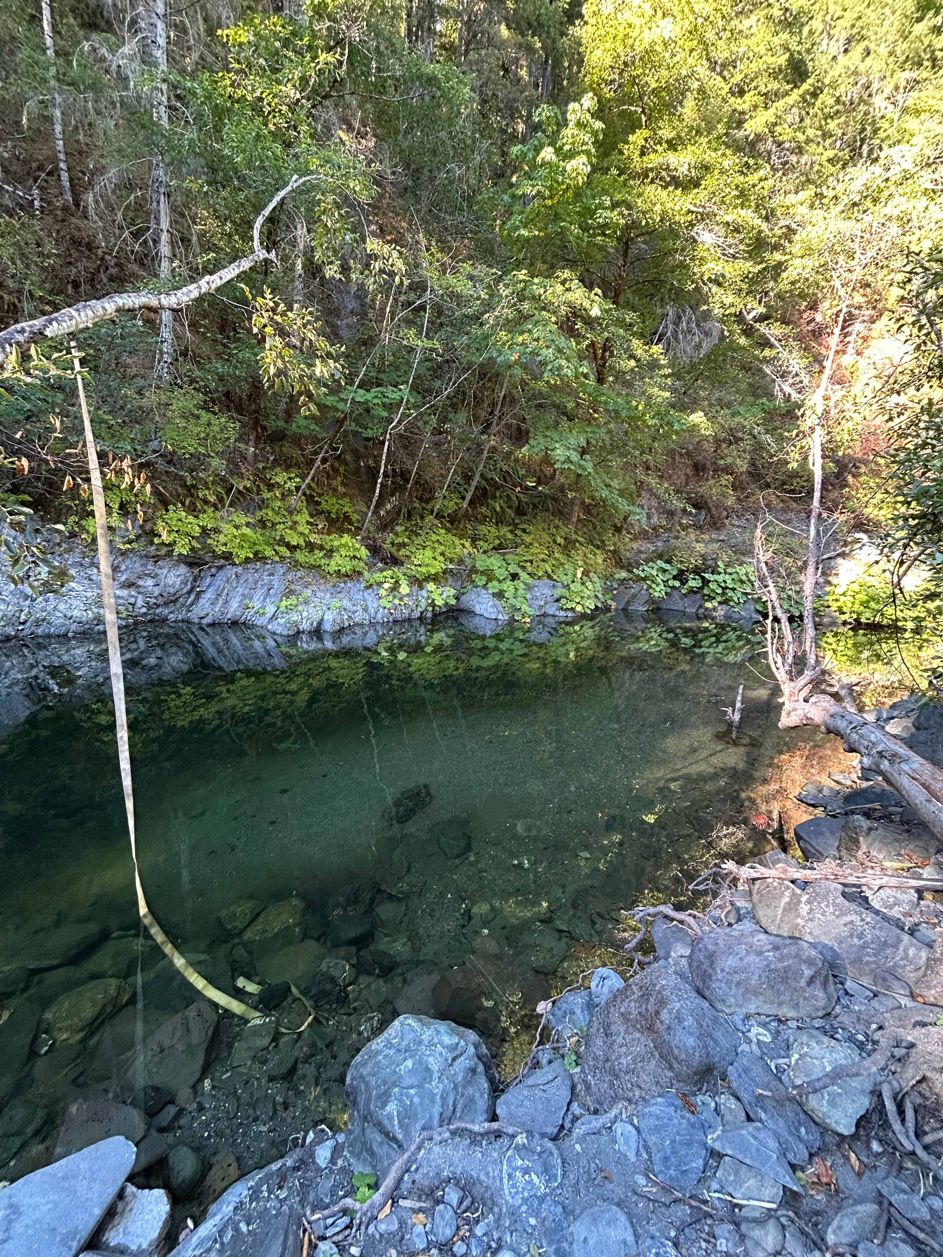Tranquil Riverside Camping