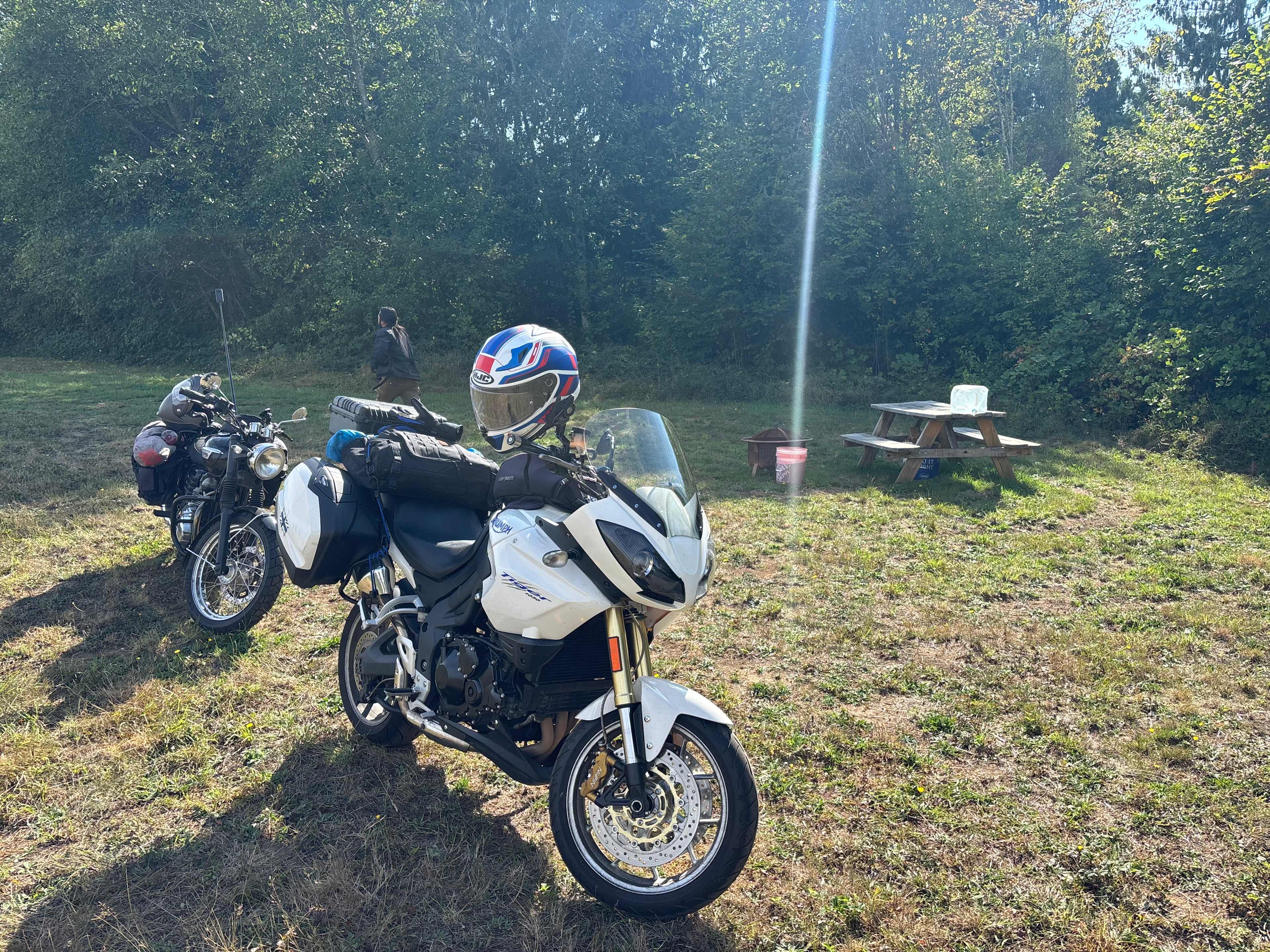 Wild Blackberry Heights