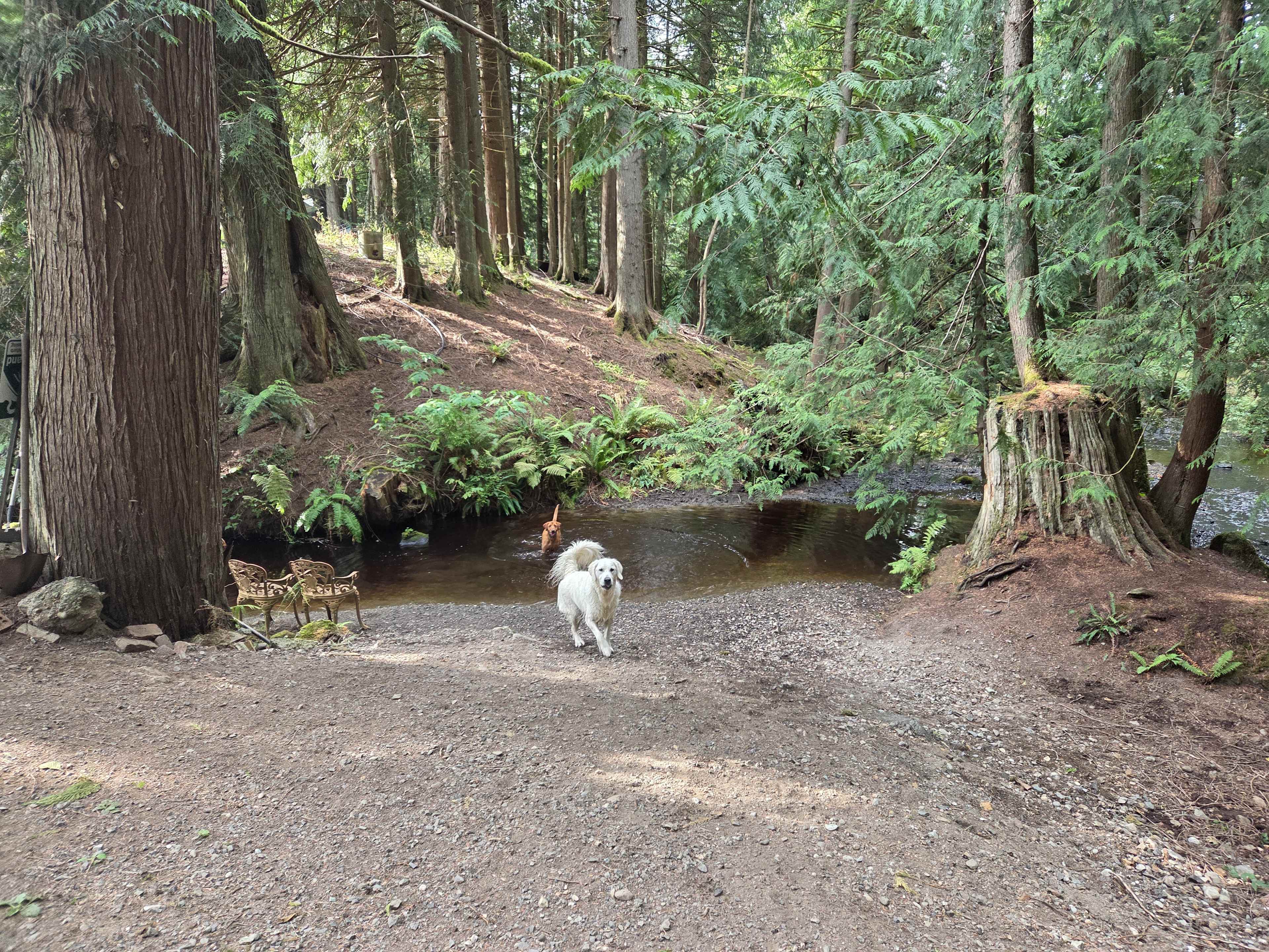 Grace E.’s Mini Forest Cabins