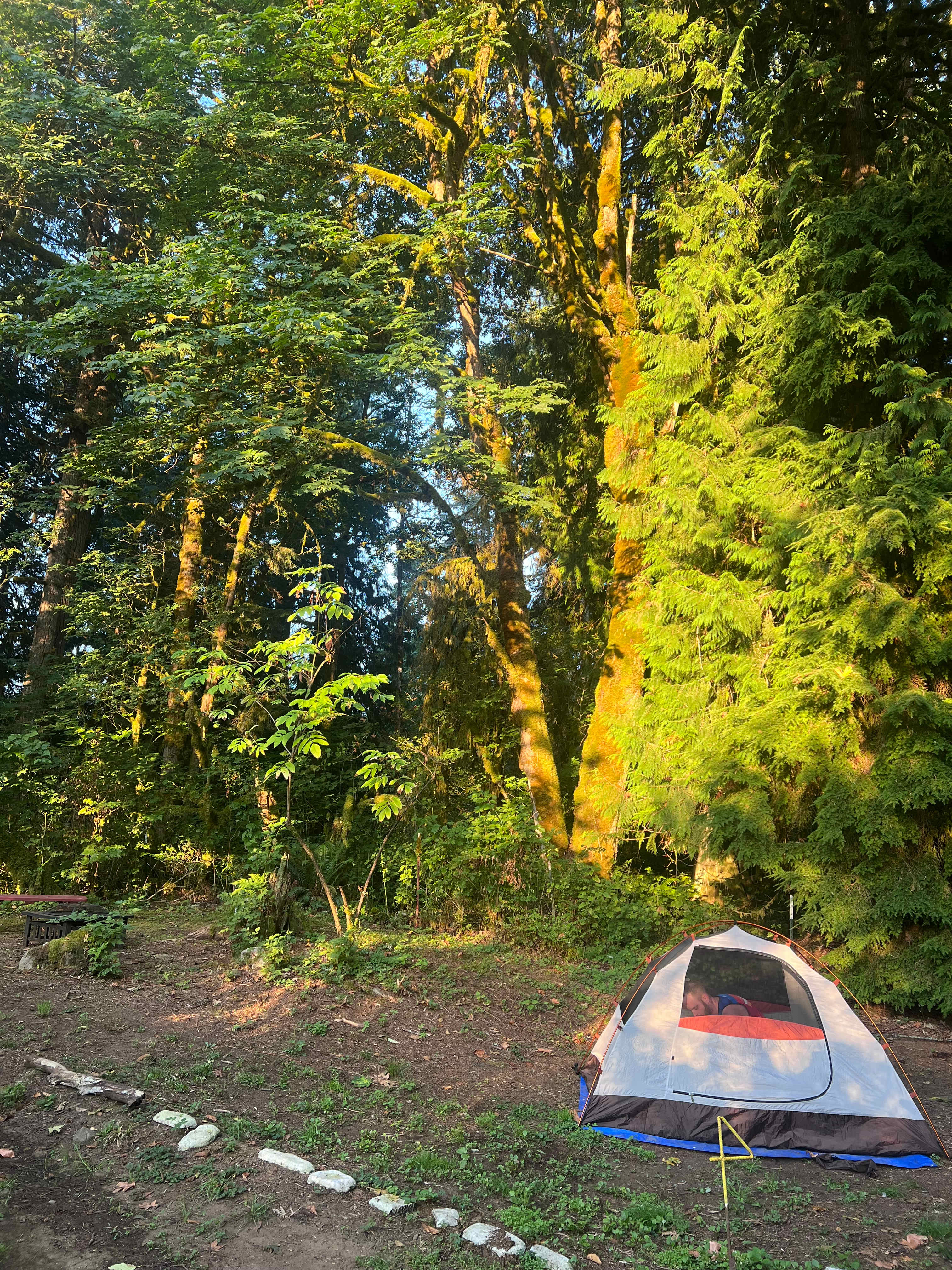 Kragnes Family Farm Mt Baker Camp
