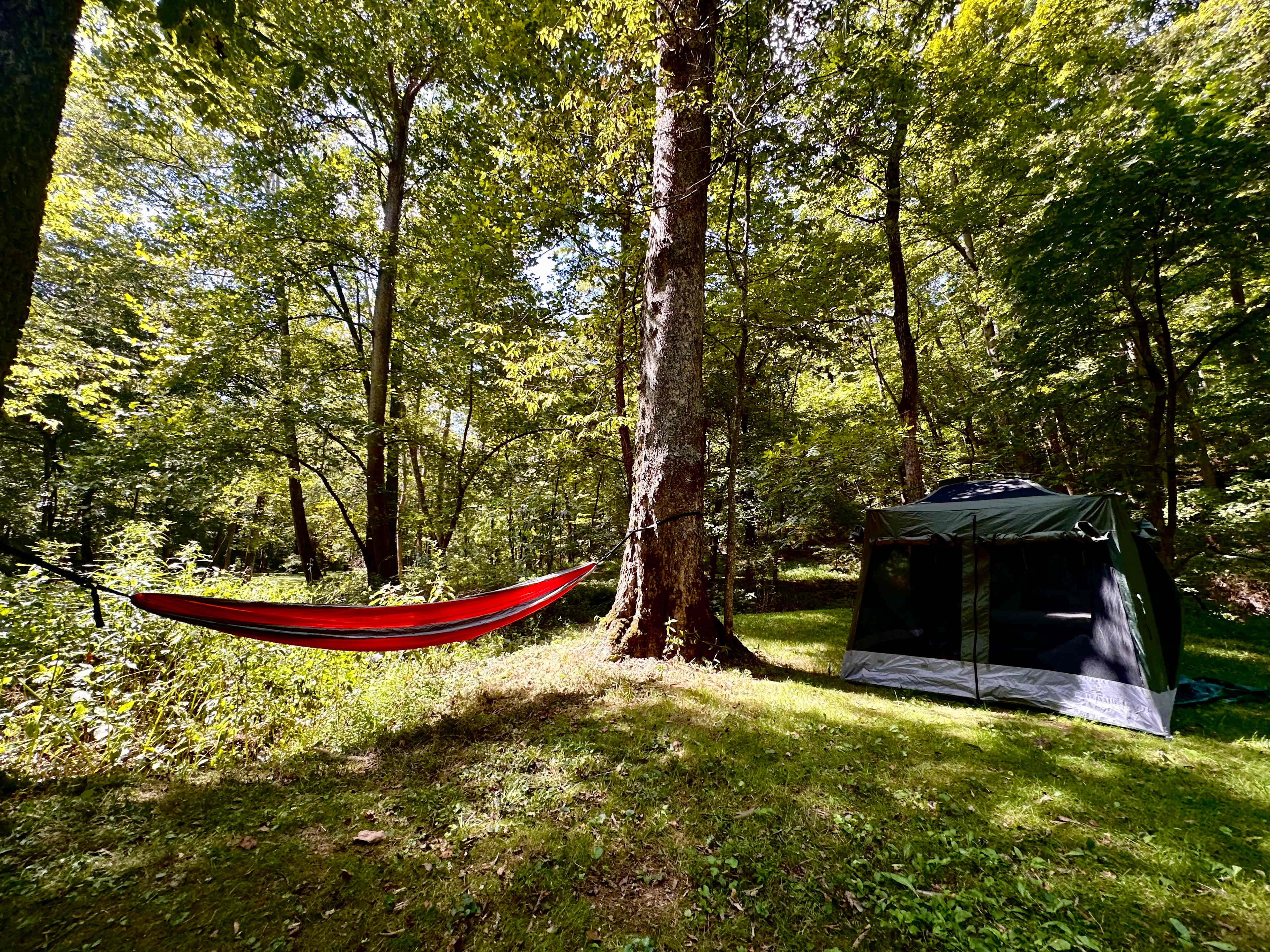 Happy Hollow Homestead