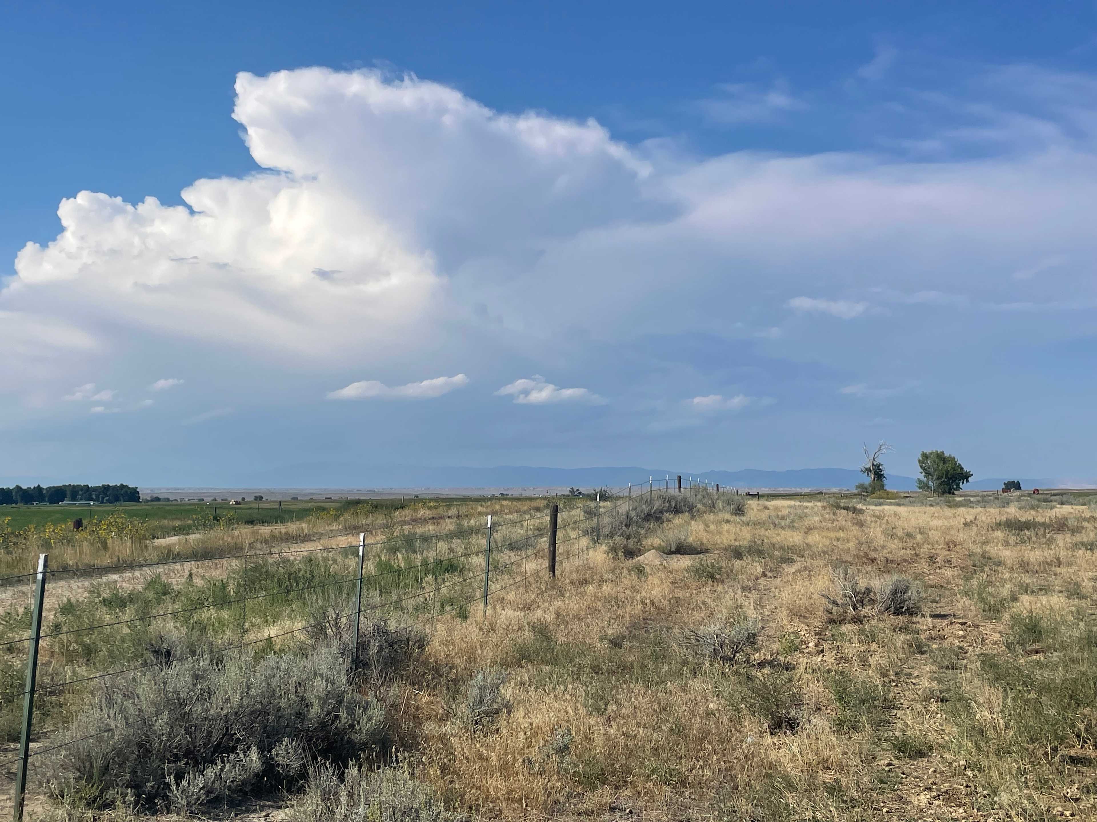 Jim Moss Arena Campground