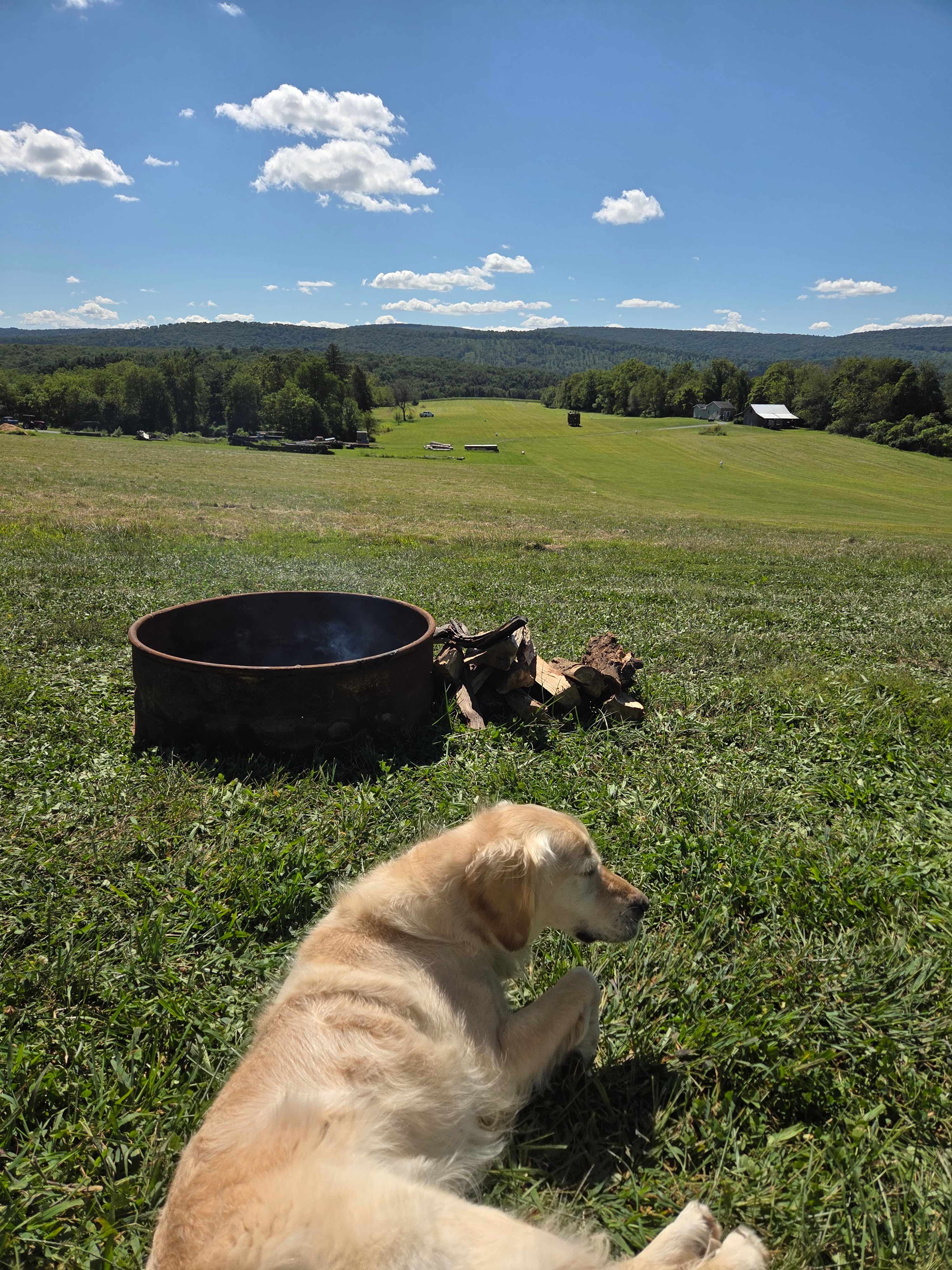 Fairview Farms Airfield